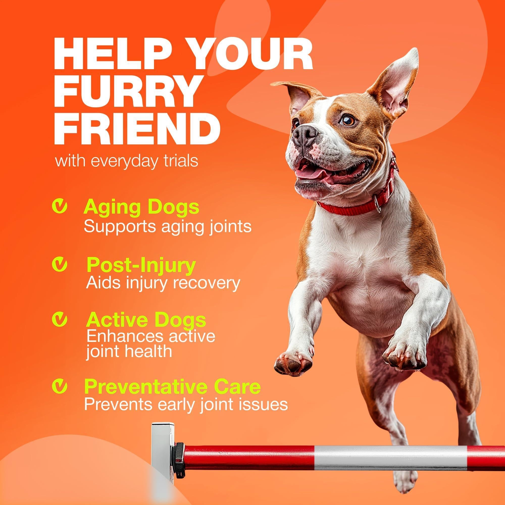 Glucosamine for Dogs Hip & Joint Supplement Chondroitin Glucosamine for Dogs Hip & Joint Supplement Chondroitin