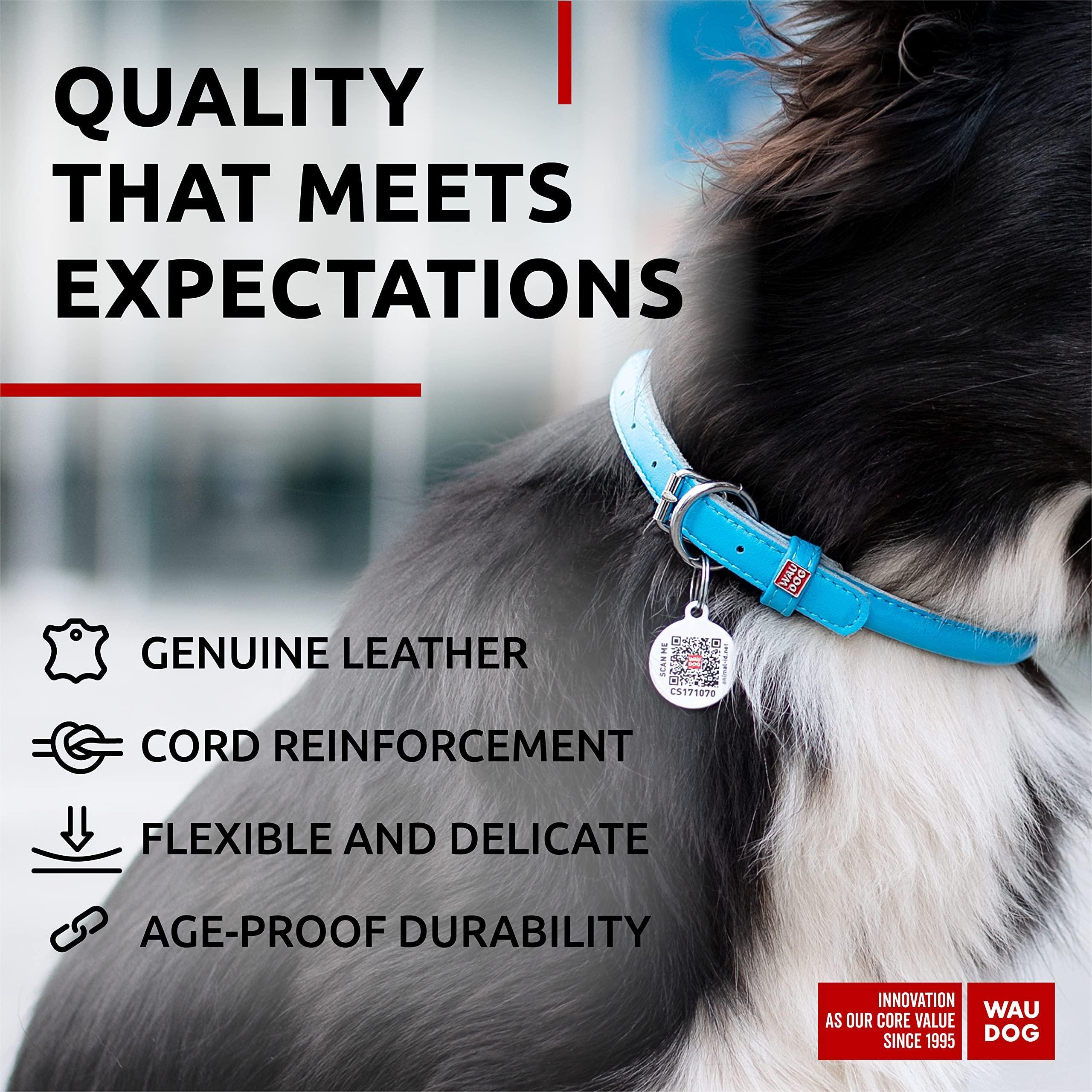 Blue Ultra Soft Rolled Leather Dog Collar 13-16 inch Neck Soft Padded Dog Collars for Medium Dogs Puppy Collar Blue Ultra Soft Rolled Leather Dog Collar 13-16 inch Neck Soft Padded Dog Collars for Medium Dogs Puppy Collar