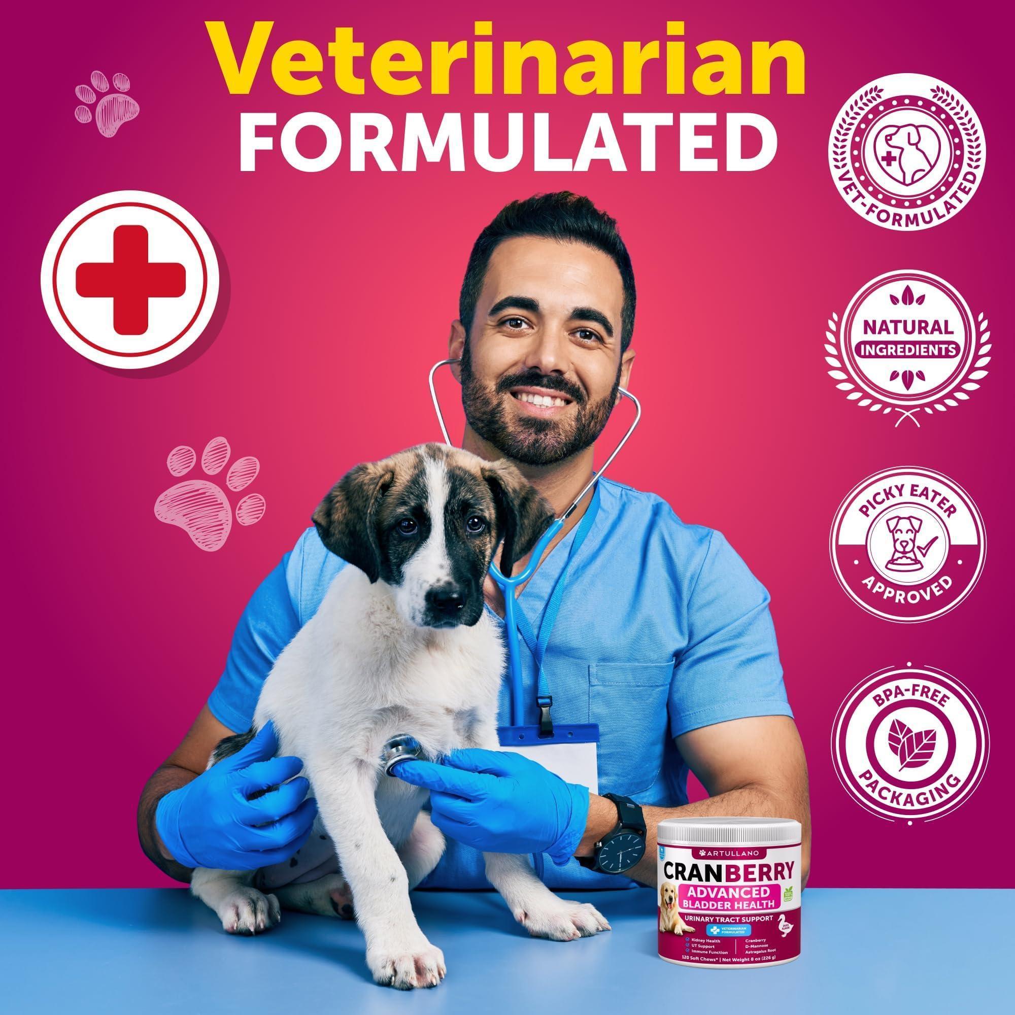 Dog UTI Treatment 240 Chews 2-Pack Cranberry Bladder & Kidney Support Dog UTI Treatment 240 Chews 2-Pack Cranberry Bladder & Kidney Support