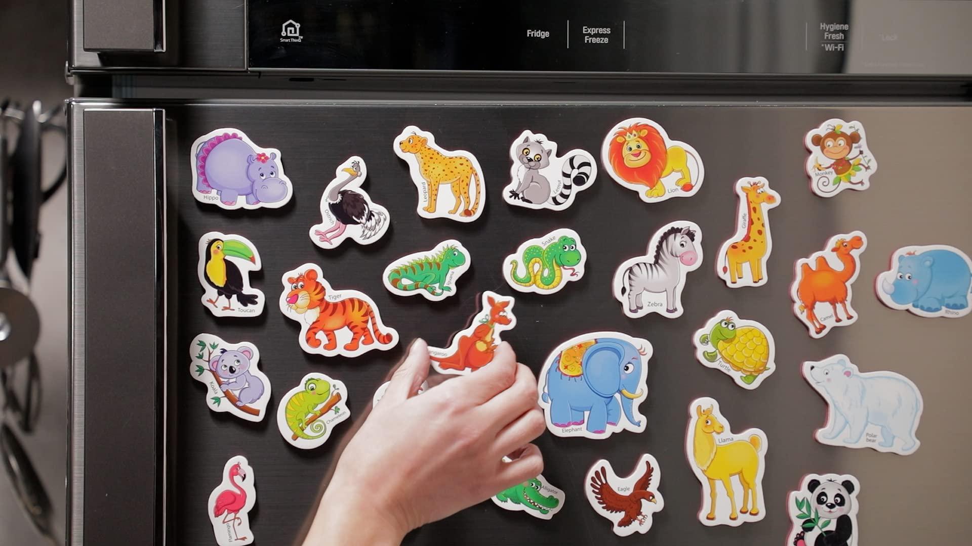 27 Fridge Magnets for Toddlers 13 years Zoo Animals Foam Magnets for Kids 27 Fridge Magnets for Toddlers 13 years Zoo Animals Foam Magnets for Kids