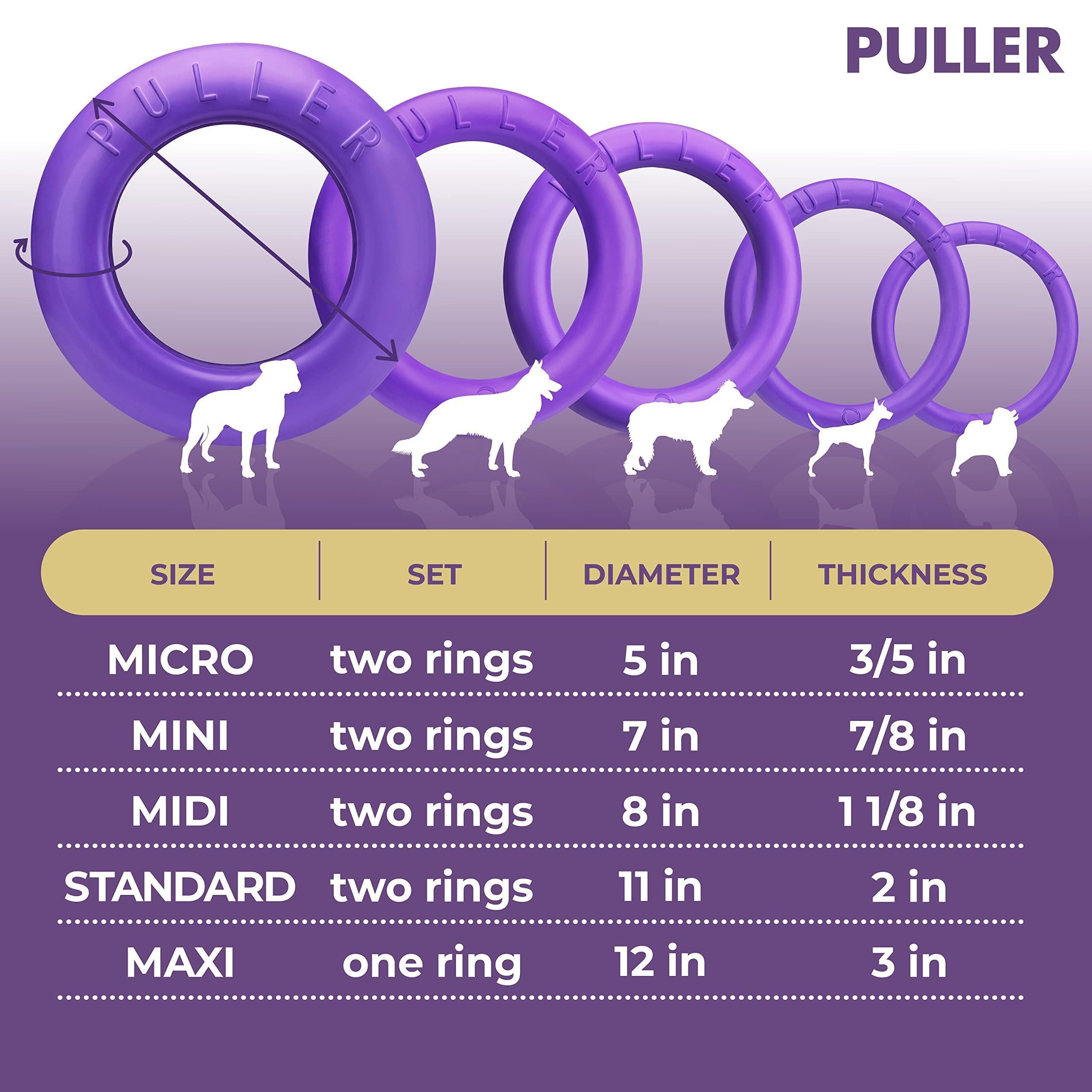 Dog Ring Fetch Toy Large Dogs Standard Size 2 Rings Dog Ring Fetch Toy Large Dogs Standard Size 2 Rings