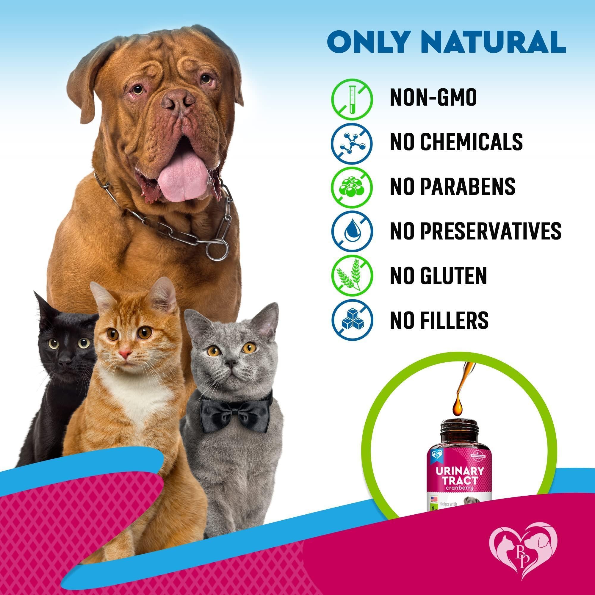 Cat & Dog UTI Treatment Drops Cranberry Urinary Support Cat & Dog UTI Treatment Drops Cranberry Urinary Support