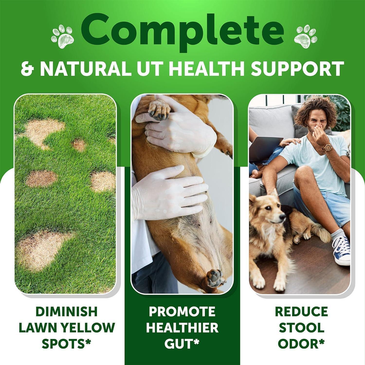 Grass Burn Spot Chews for Dogs 120 Count Lawn Urine Neutralizer Grass Burn Spot Chews for Dogs 120 Count Lawn Urine Neutralizer