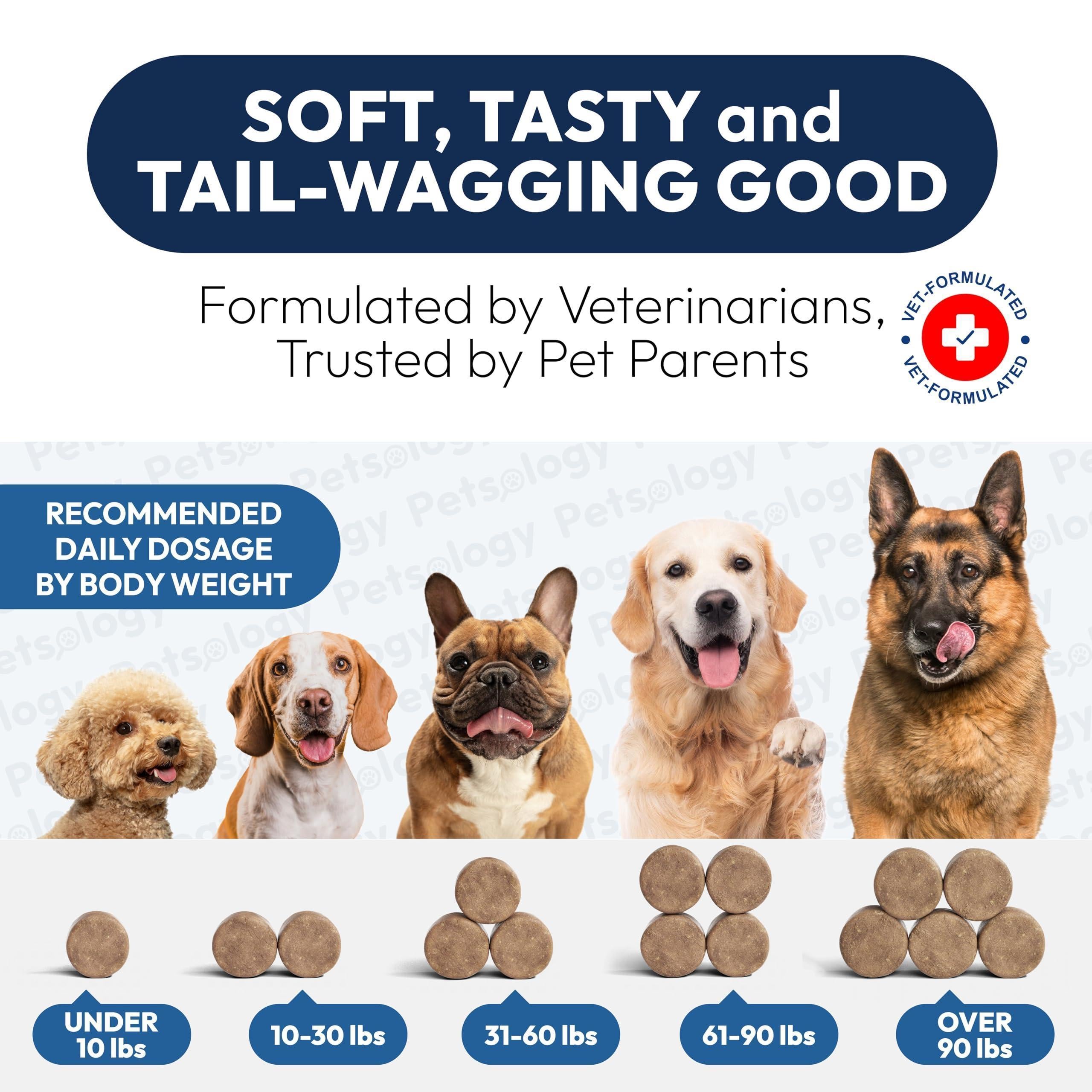 Probiotics for Dogs 170 Chews Digestive Enzymes & Prebiotics Gut Health Probiotics for Dogs 170 Chews Digestive Enzymes & Prebiotics Gut Health