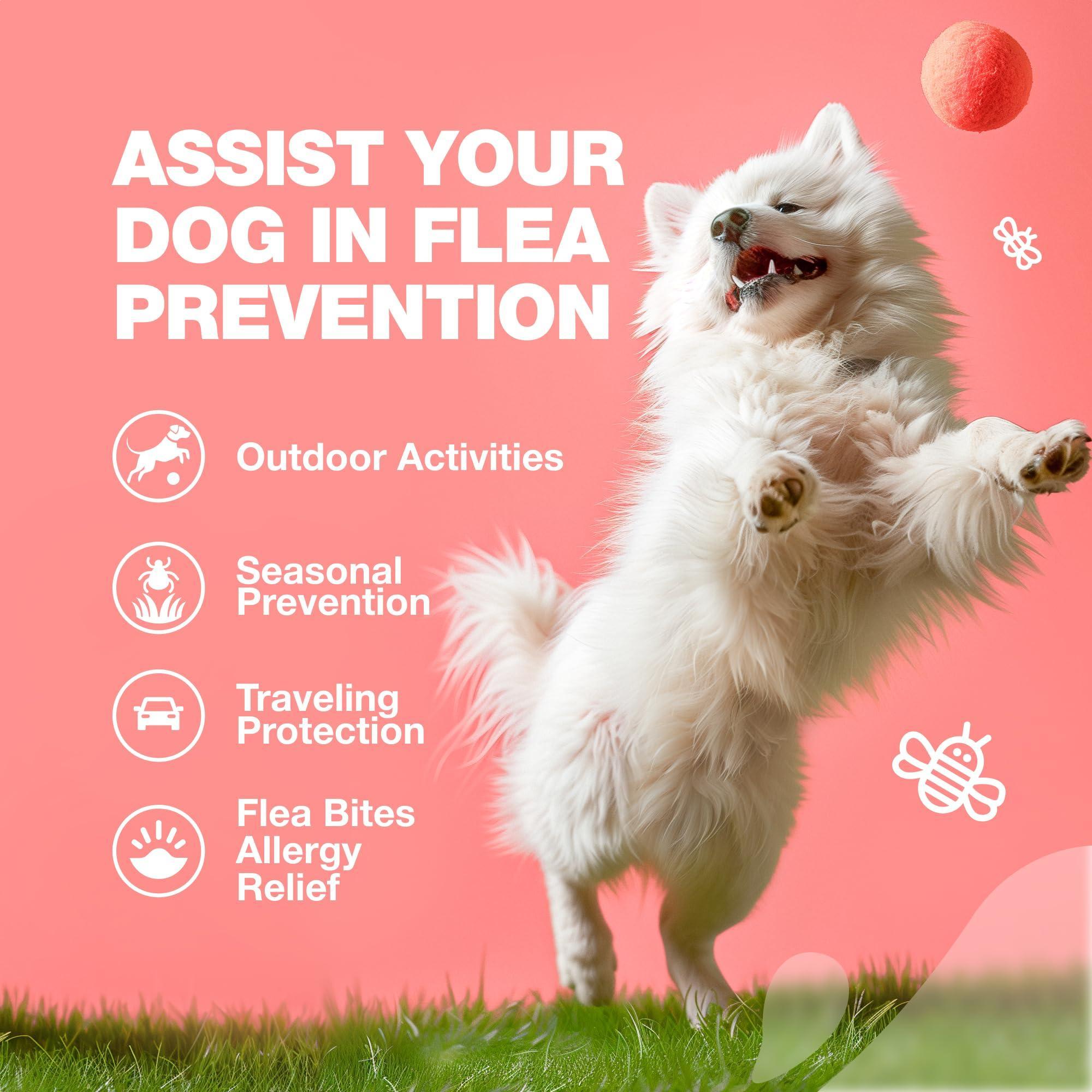 Dog Insects Treatment Chews Insects Control Dog Insects Treatment Chews Insects Control