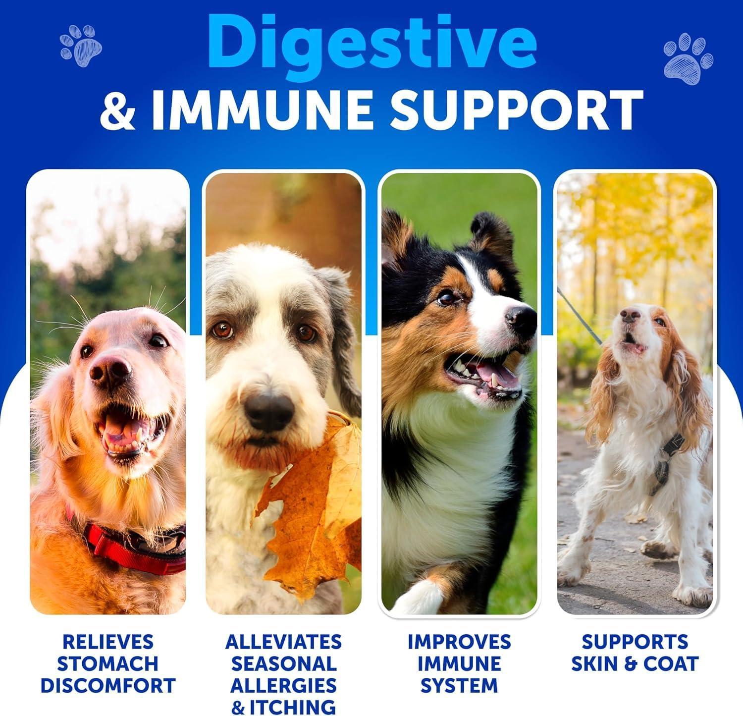 Probiotics for Dogs 70 Chews Duck Flavor Gut Health & Prebiotics Probiotics for Dogs 70 Chews Duck Flavor Gut Health & Prebiotics