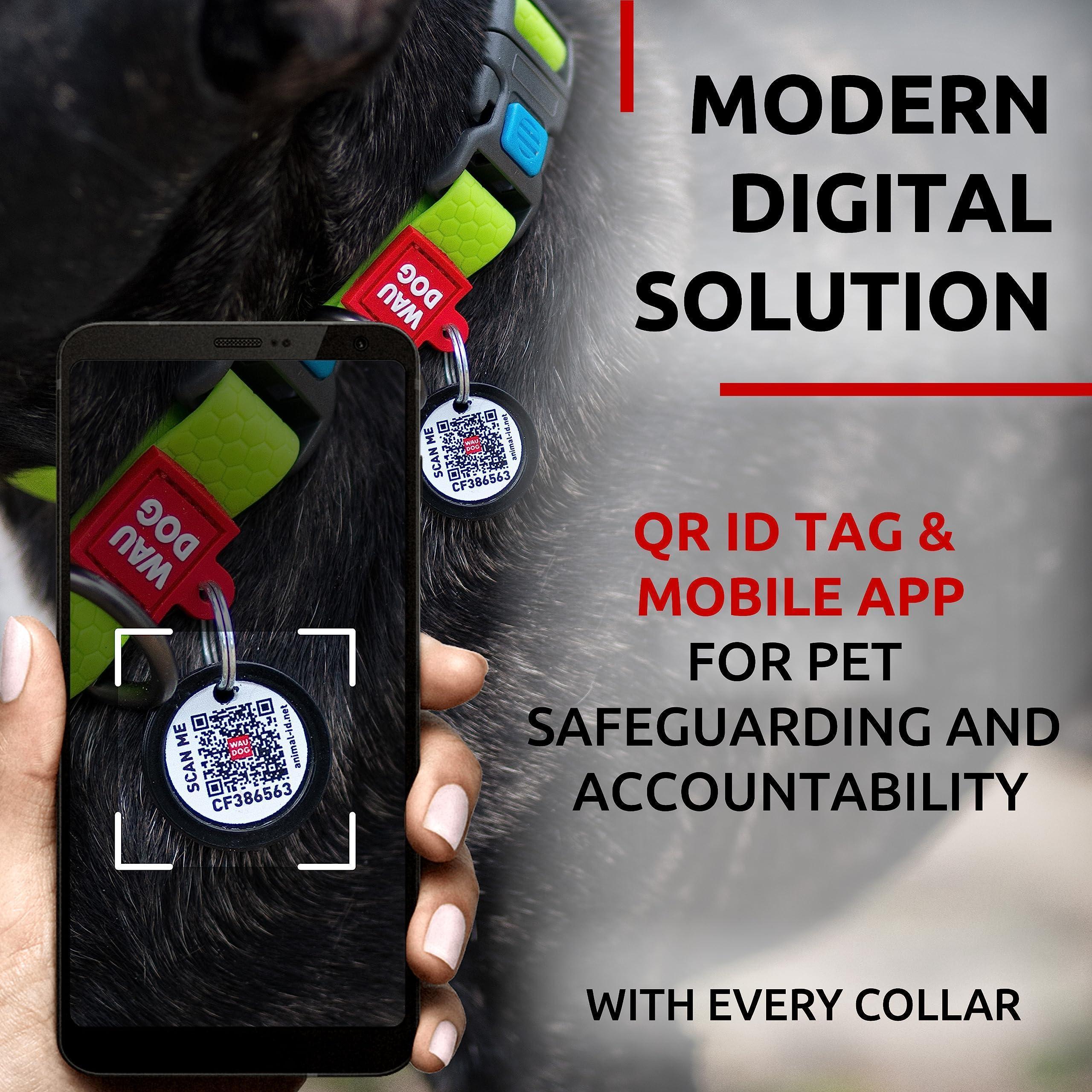 Waterproof Dog Collar Adjustable Medium Dogs 10–16 in Neck x 4/5 in Green Waterproof Dog Collar Adjustable Medium Dogs 10–16 in Neck x 4/5 in Green