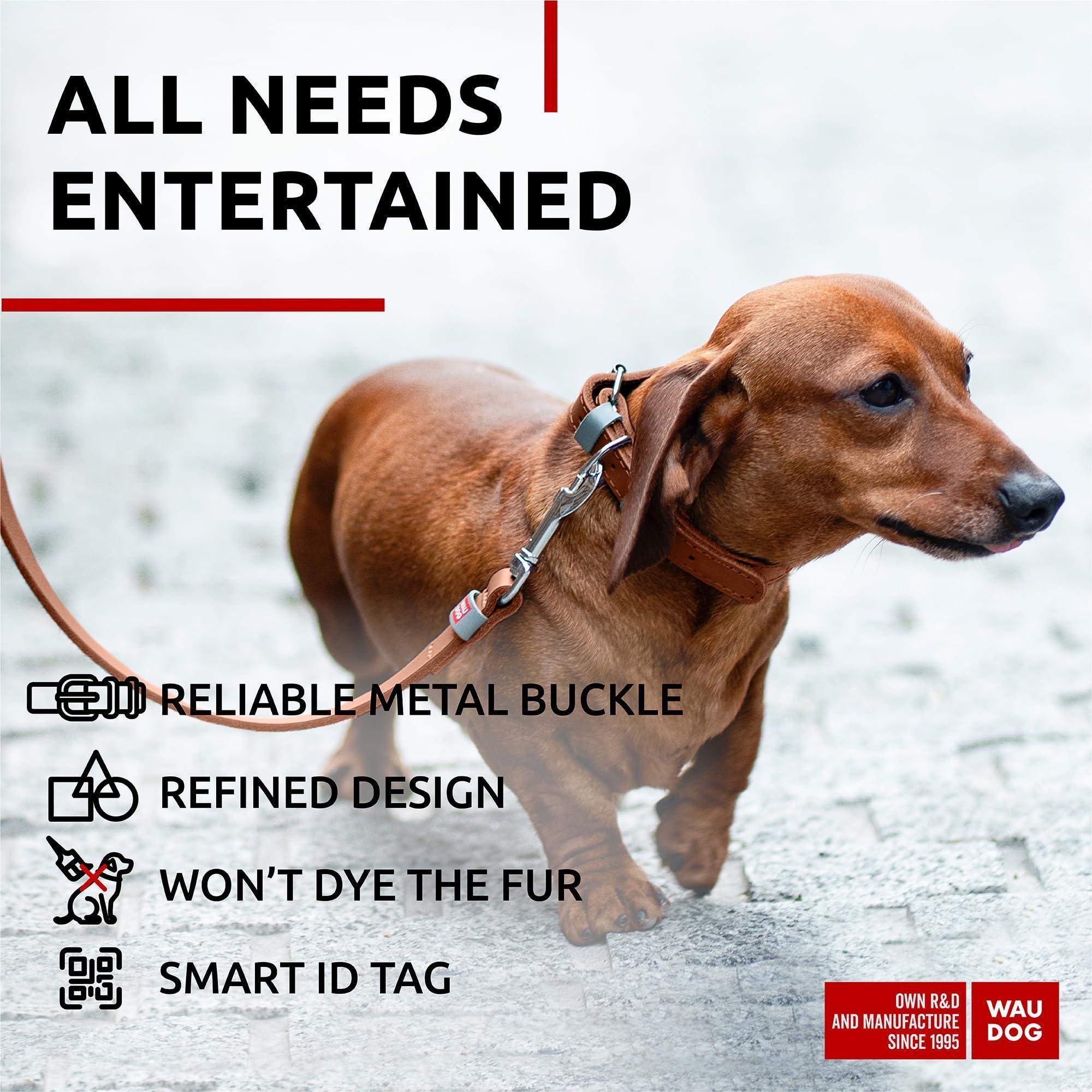 Leather Dog Collar XSmall Dogs 8–11 in Neck x 0.5 in Wide Leather Dog Collar XSmall Dogs 8–11 in Neck x 0.5 in Wide