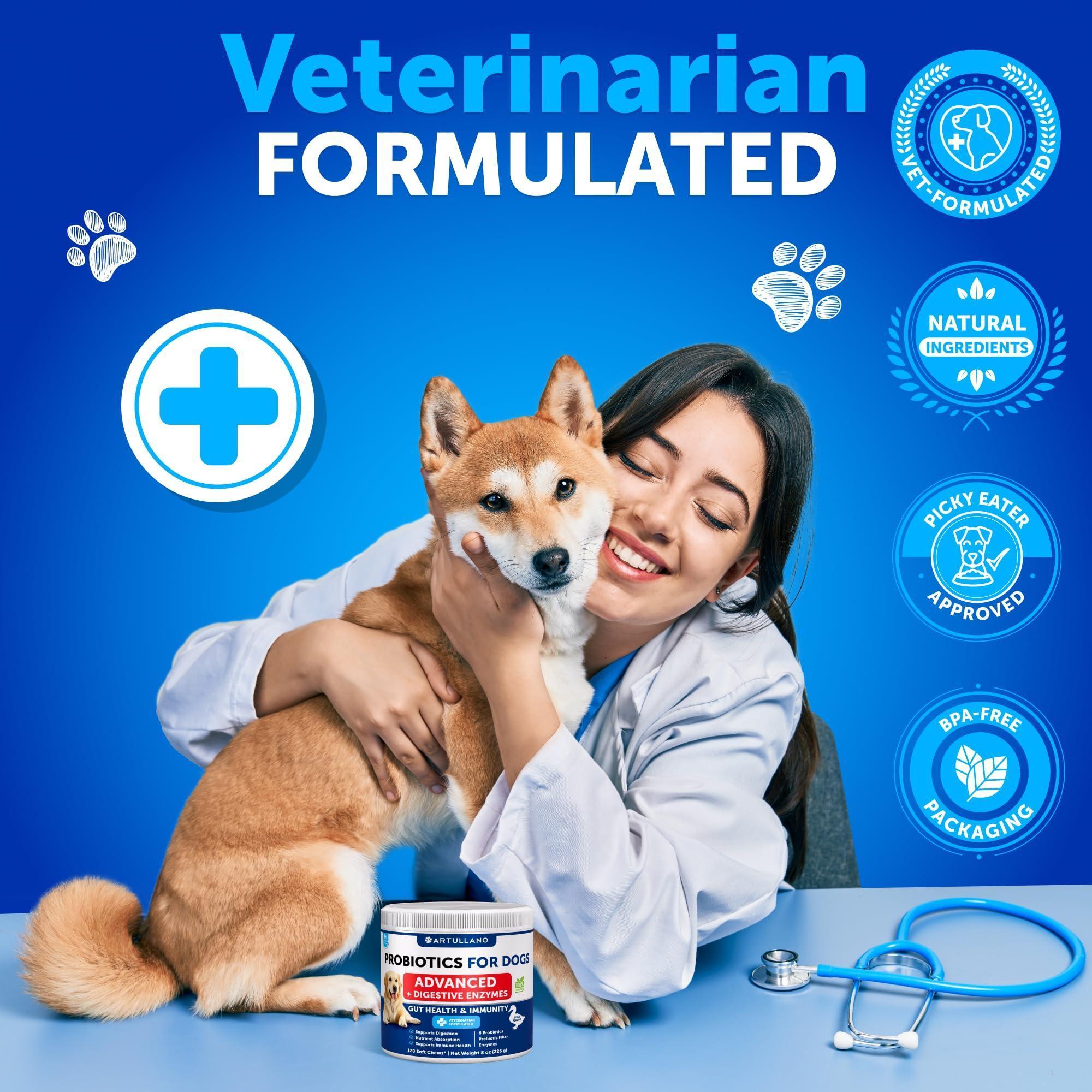 Probiotics for Dogs 240 Count 2-Pack Digestive Enzymes & Prebiotics Gut Health Probiotics for Dogs 240 Count 2-Pack Digestive Enzymes & Prebiotics Gut Health