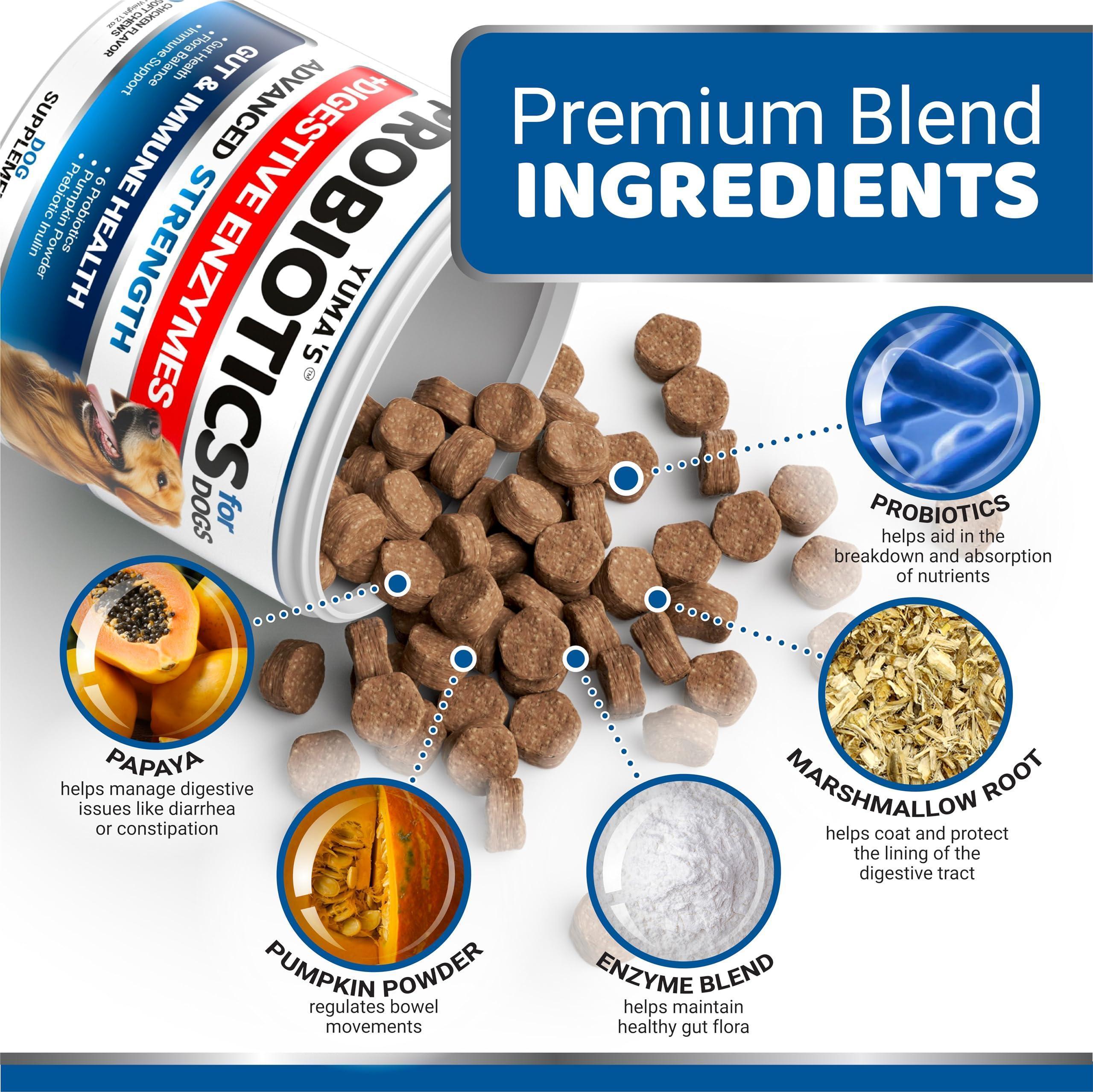 Probiotics for Dogs 170 Chews Digestive Enzymes & Fiber Probiotics for Dogs 170 Chews Digestive Enzymes & Fiber