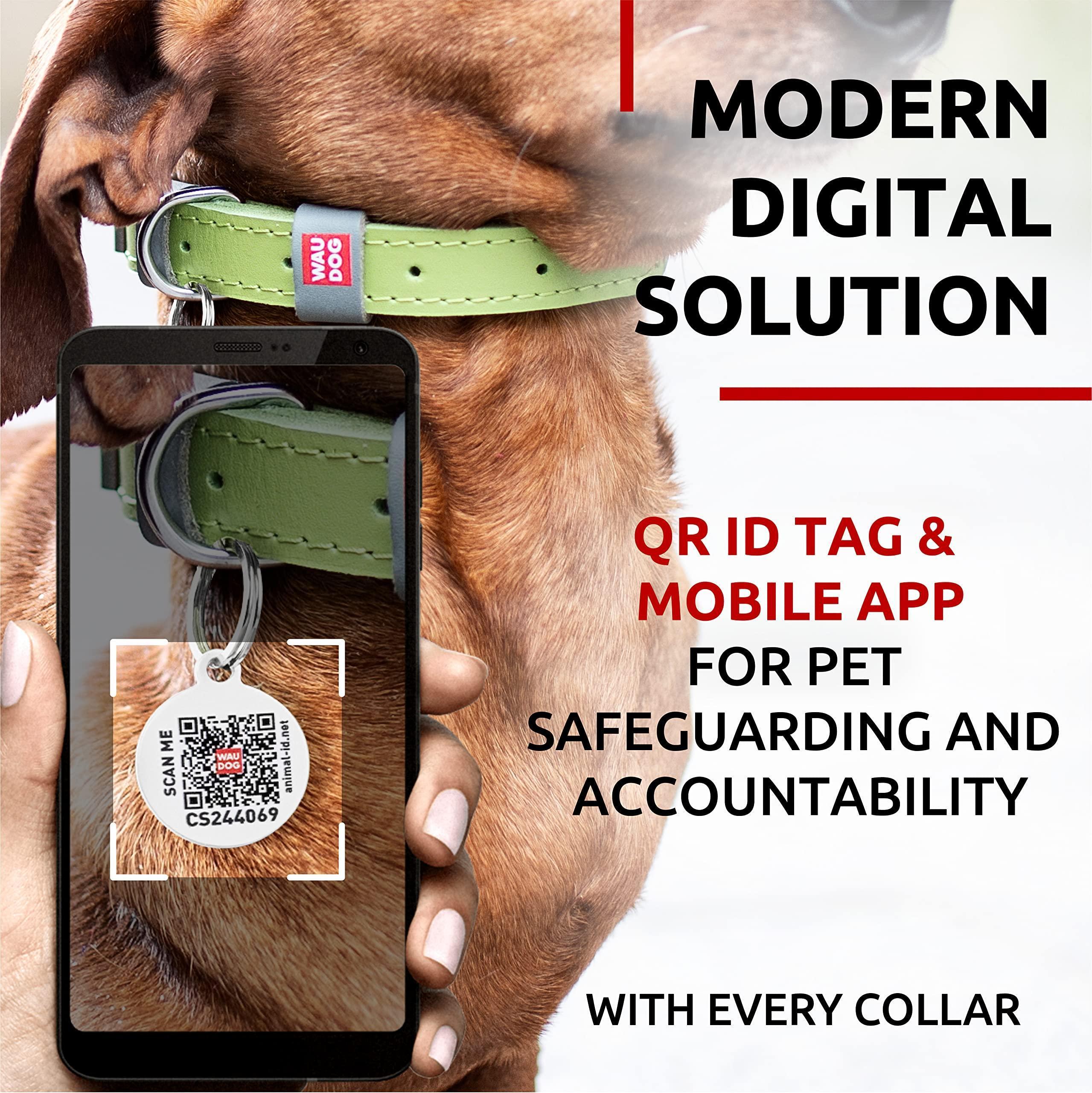 Leather Dog Collar Adjustable All Sizes Buckle D-Ring & QR Tag Leather Dog Collar Adjustable All Sizes Buckle D-Ring & QR Tag