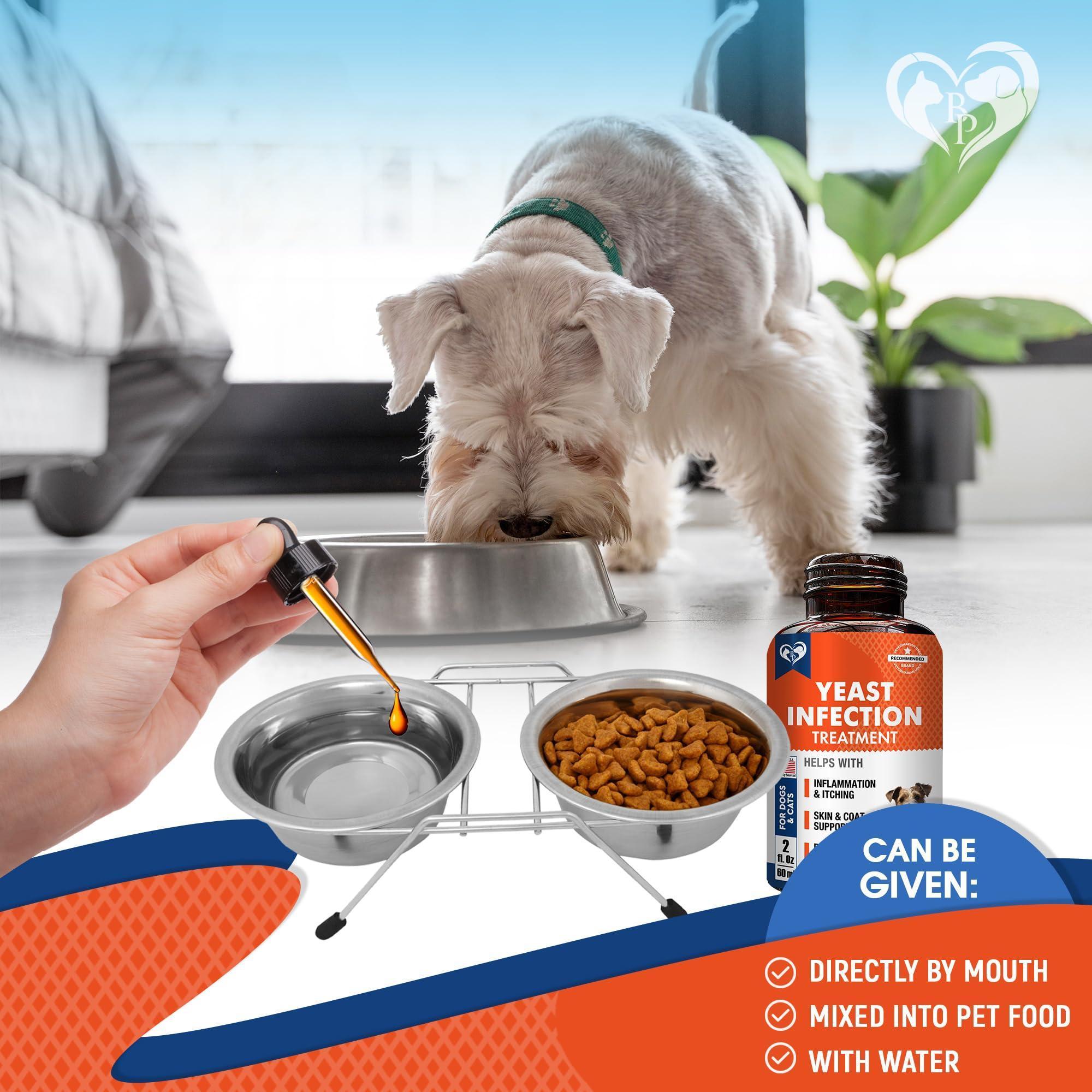 Dog Yeast & Anti-Itch Supplement Drops Skin Ears & Allergy Relief Dog Yeast & Anti-Itch Supplement Drops Skin Ears & Allergy Relief