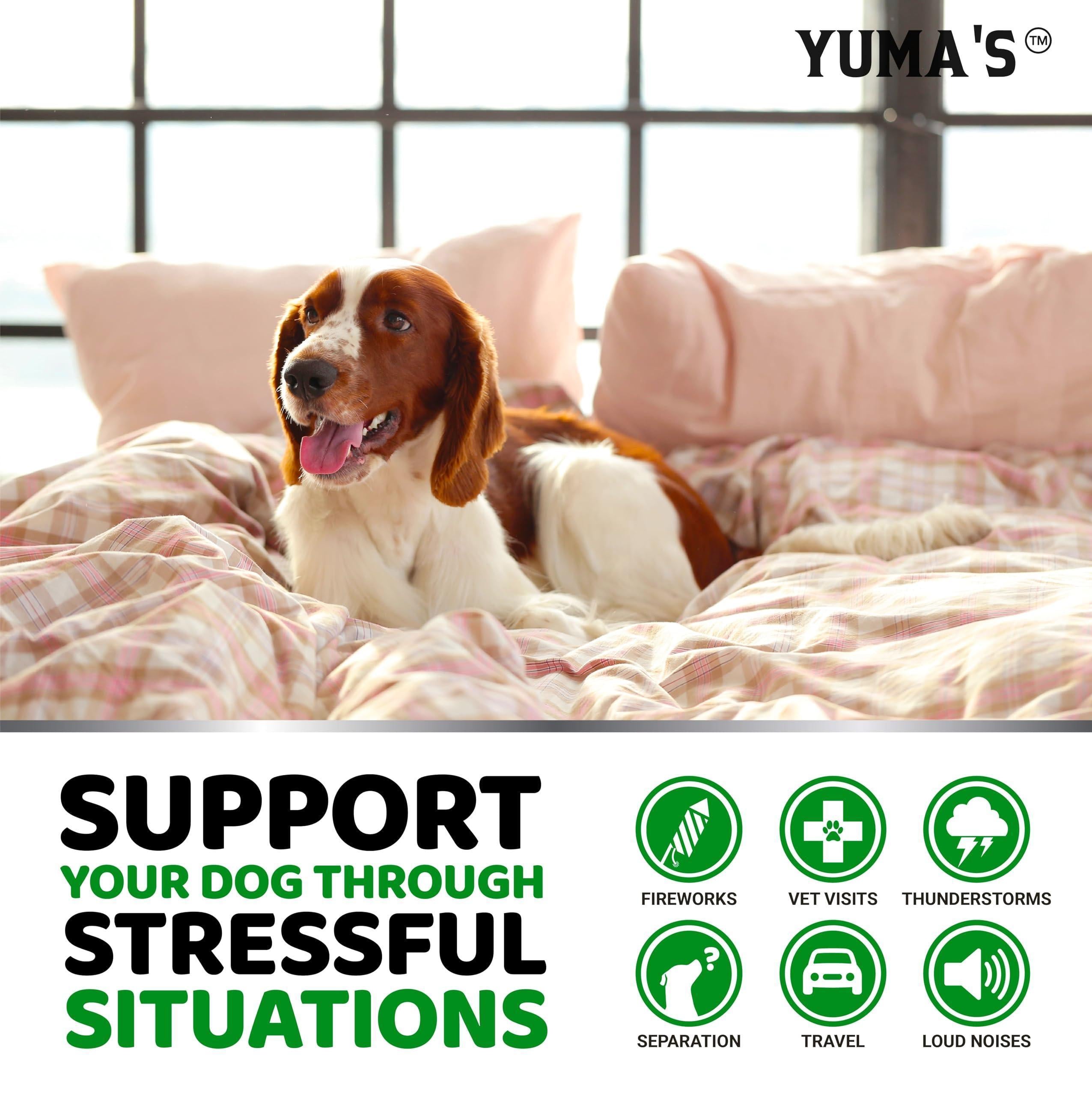 Hemp Calming Chews for Dogs 170 Count Anxiety Relief Beef Flavor Hemp Calming Chews for Dogs 170 Count Anxiety Relief Beef Flavor
