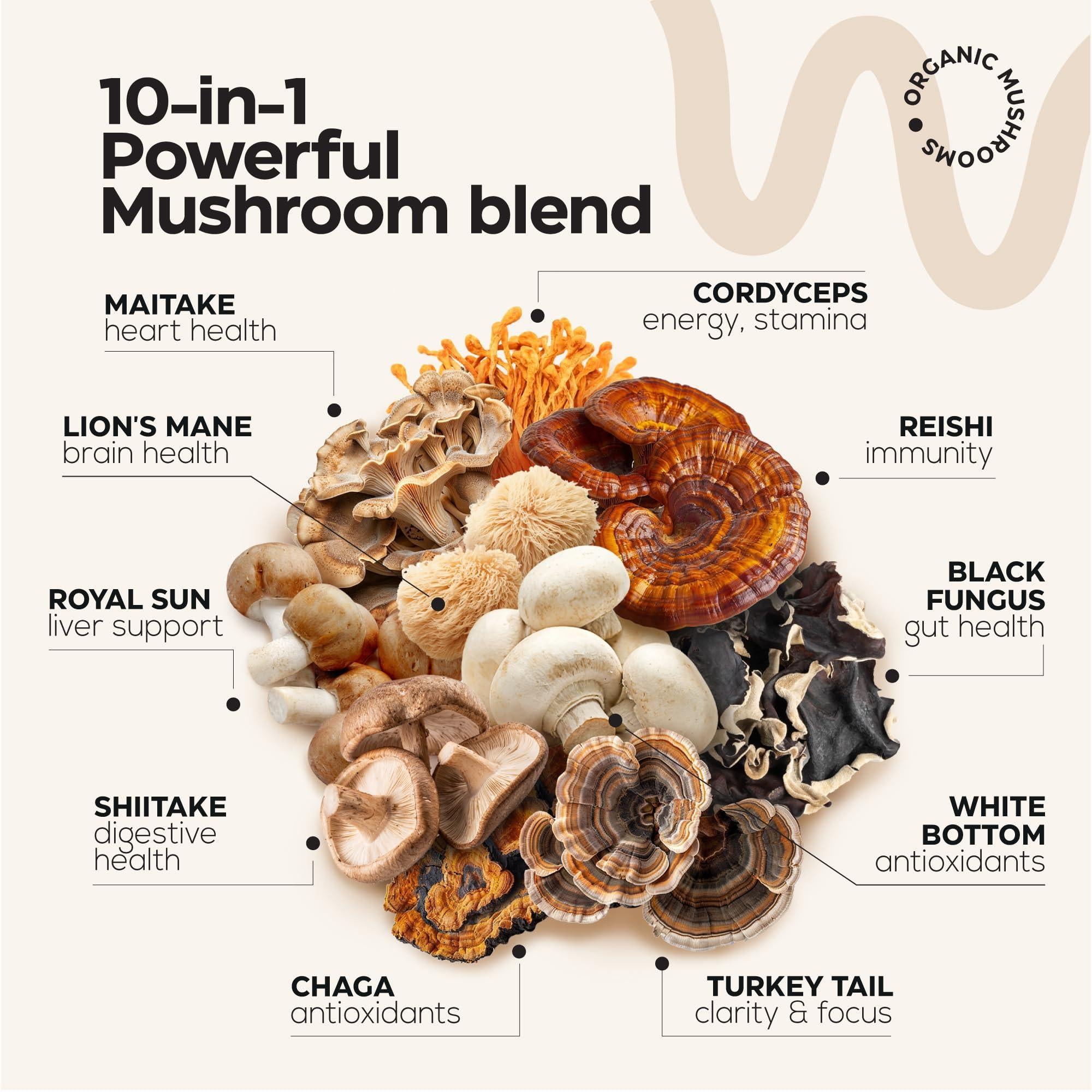 Mushroom Gummies 5000 Mg for Adults 2 Pack Lions Mane 9 Adaptogenic Mushrooms Mushroom Gummies 5000 Mg for Adults 2 Pack Lions Mane 9 Adaptogenic Mushrooms