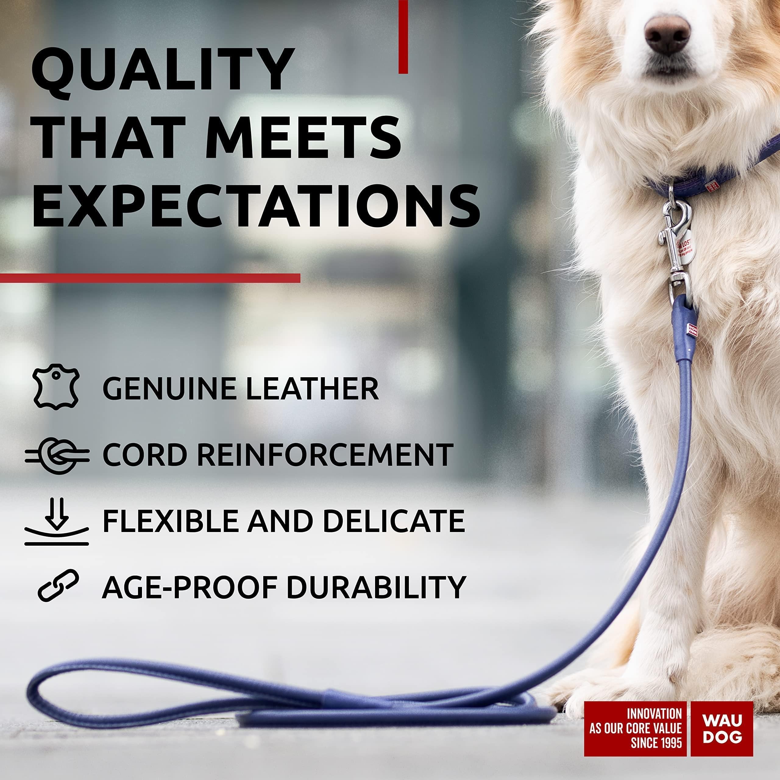 Rolled Leather Dog Leash 4 ft x 0.4 in All Sizes Purple Rolled Leather Dog Leash 4 ft x 0.4 in All Sizes Purple