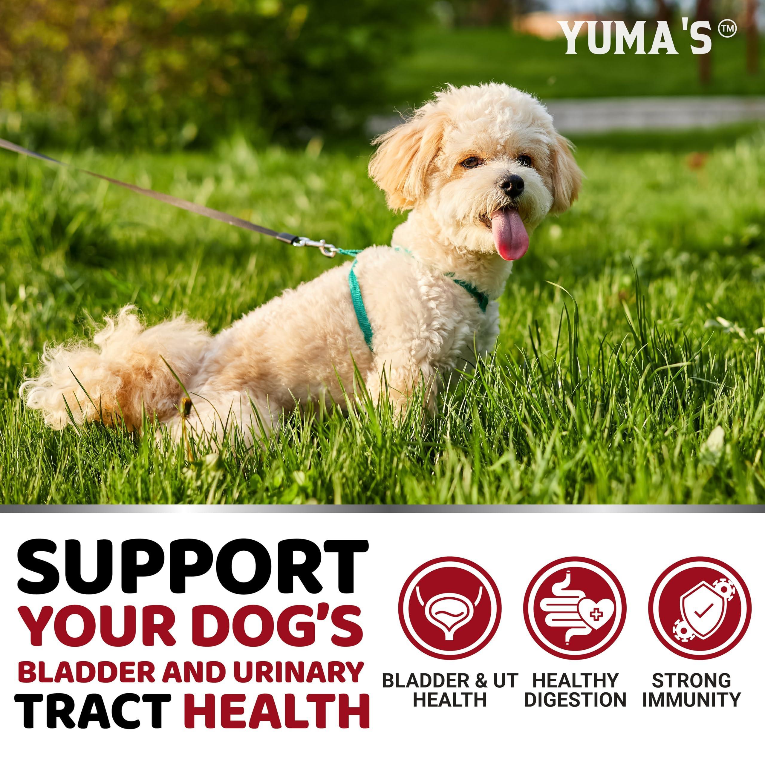 Dog UTI Treatment 170 Count Cranberry Supplement Bladder Control Dog UTI Treatment 170 Count Cranberry Supplement Bladder Control