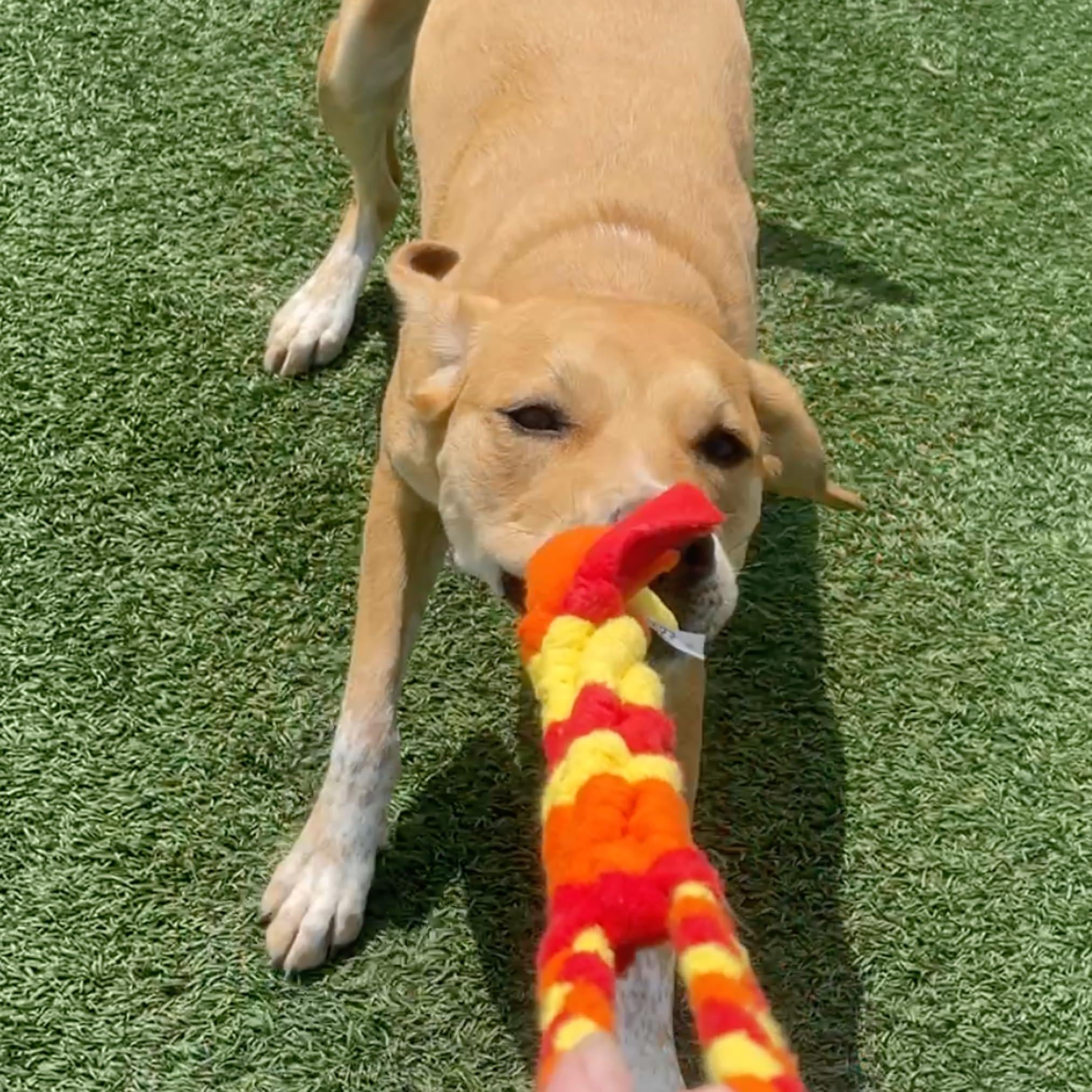 Interactive Tug & Treat-Dispenser Toy for Dogs Teething Relief Orange Interactive Tug & Treat-Dispenser Toy for Dogs Teething Relief Orange