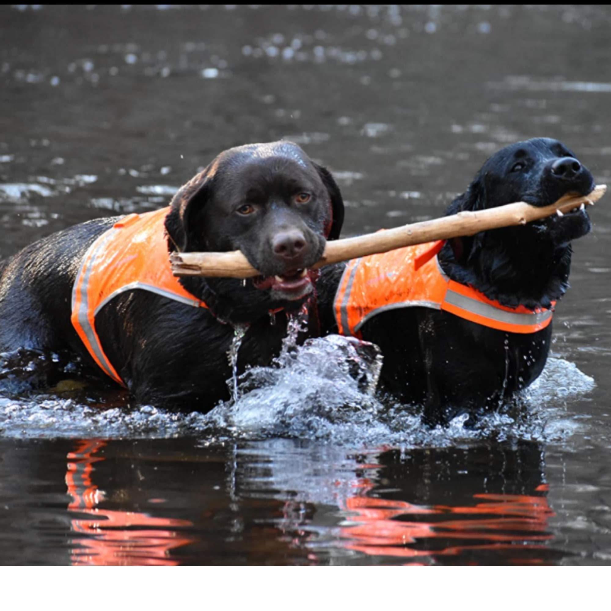 Lightweight Dog Vest Mid-Back Coverage 24 in Chest x 17 in Neck Orange Lightweight Dog Vest Mid-Back Coverage 24 in Chest x 17 in Neck Orange