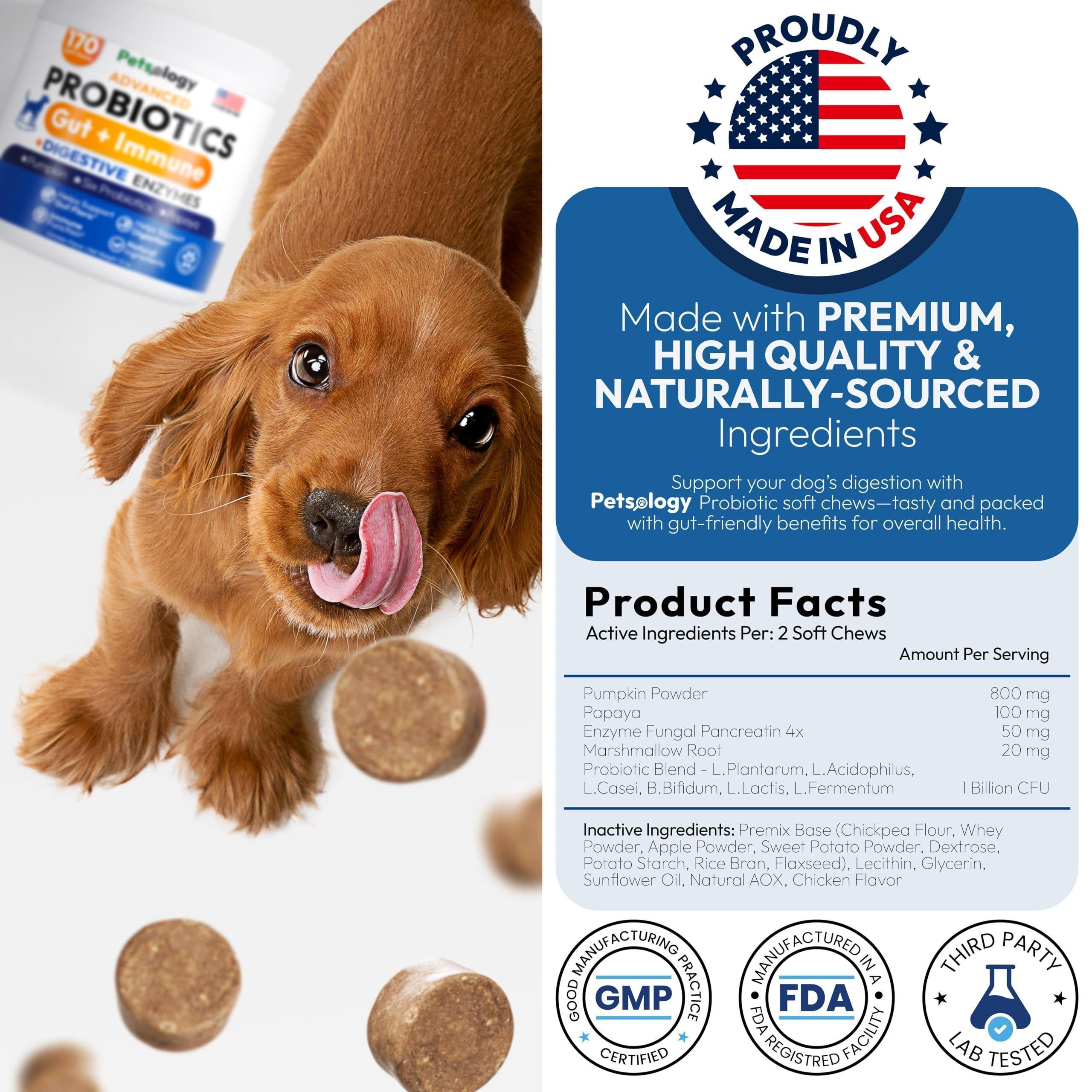 Probiotics for Dogs 170 Chews Digestive Enzymes & Prebiotics Gut Health Probiotics for Dogs 170 Chews Digestive Enzymes & Prebiotics Gut Health