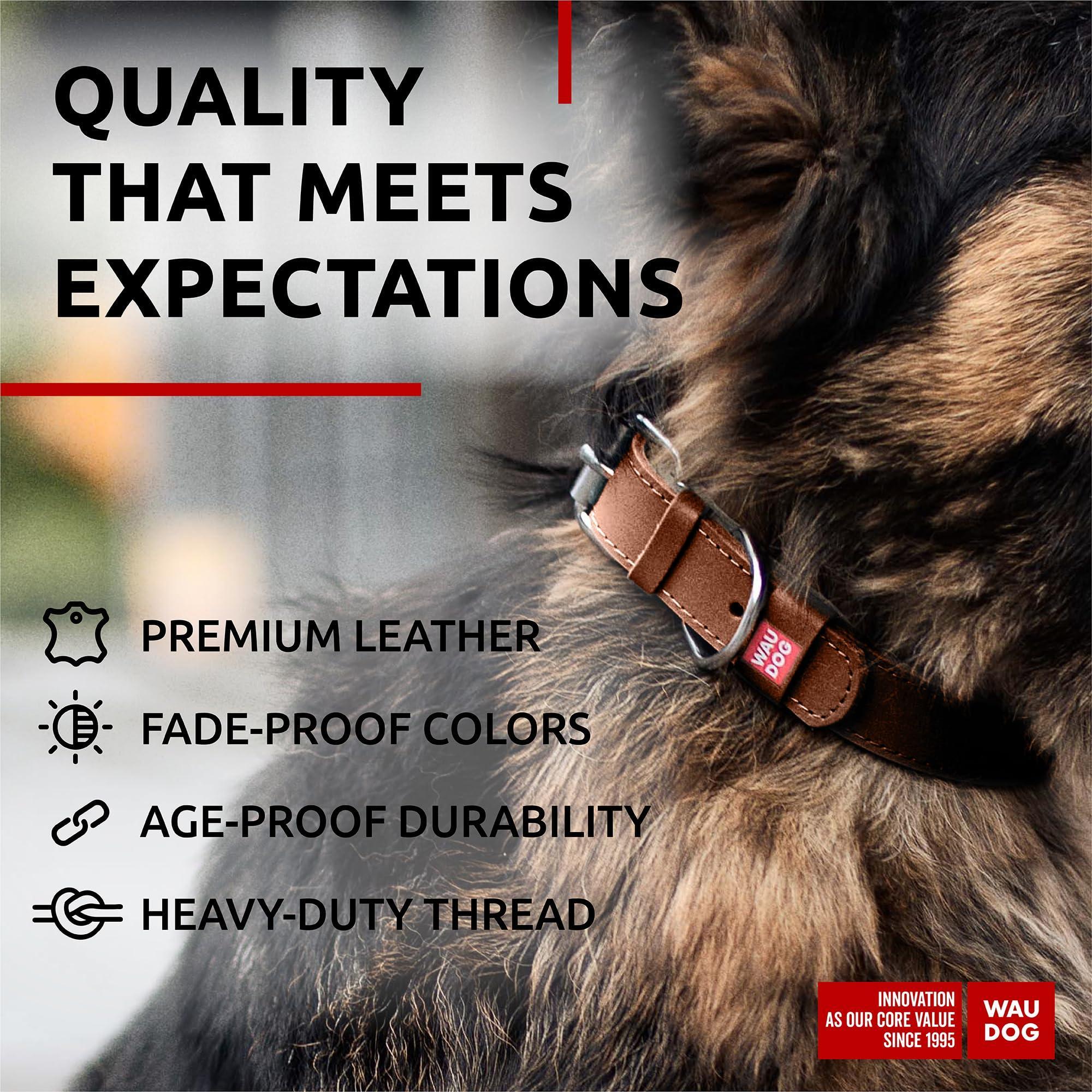 Leather Dog Collar Large Dogs 15–20 in Neck x 1 in Wide Brown Leather Dog Collar Large Dogs 15–20 in Neck x 1 in Wide Brown