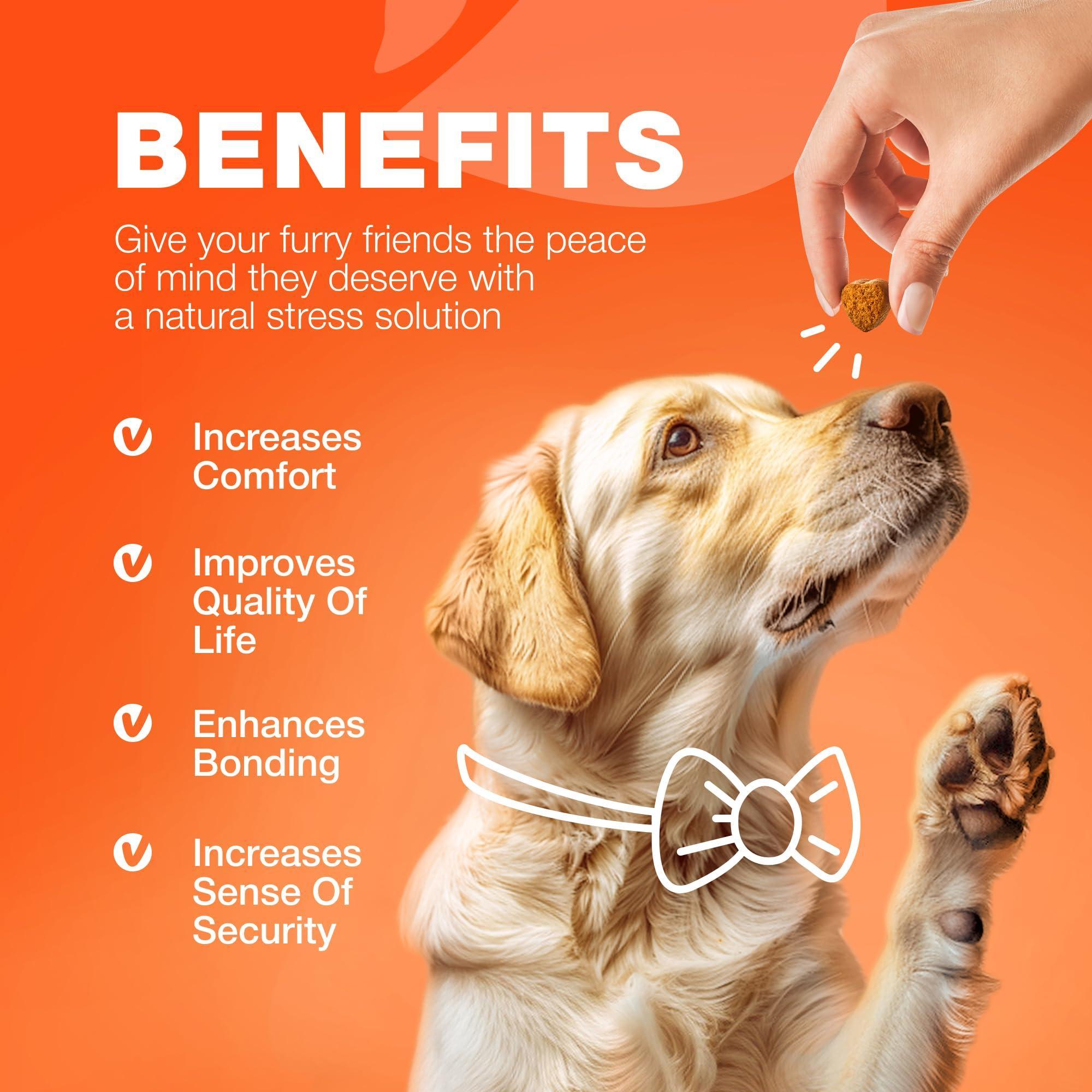 Glucosamine for Dogs Hip & Joint Supplement Chondroitin Glucosamine for Dogs Hip & Joint Supplement Chondroitin