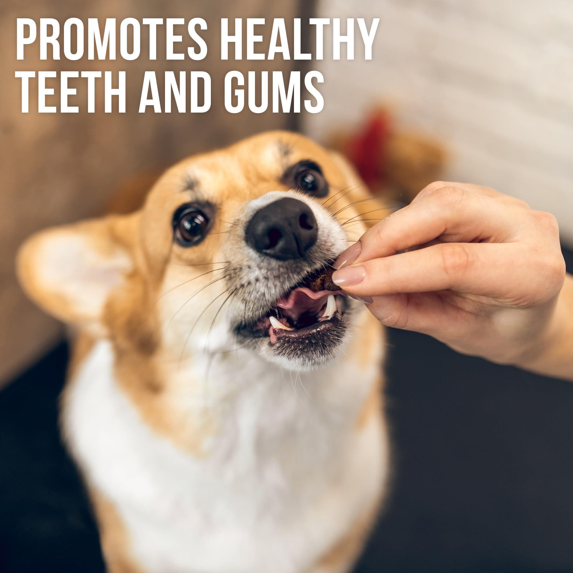 Chicken Jerky Dog Treats 24 oz Human-Grade Grain-Free Sweet Potato Chicken Jerky Dog Treats 24 oz Human-Grade Grain-Free Sweet Potato