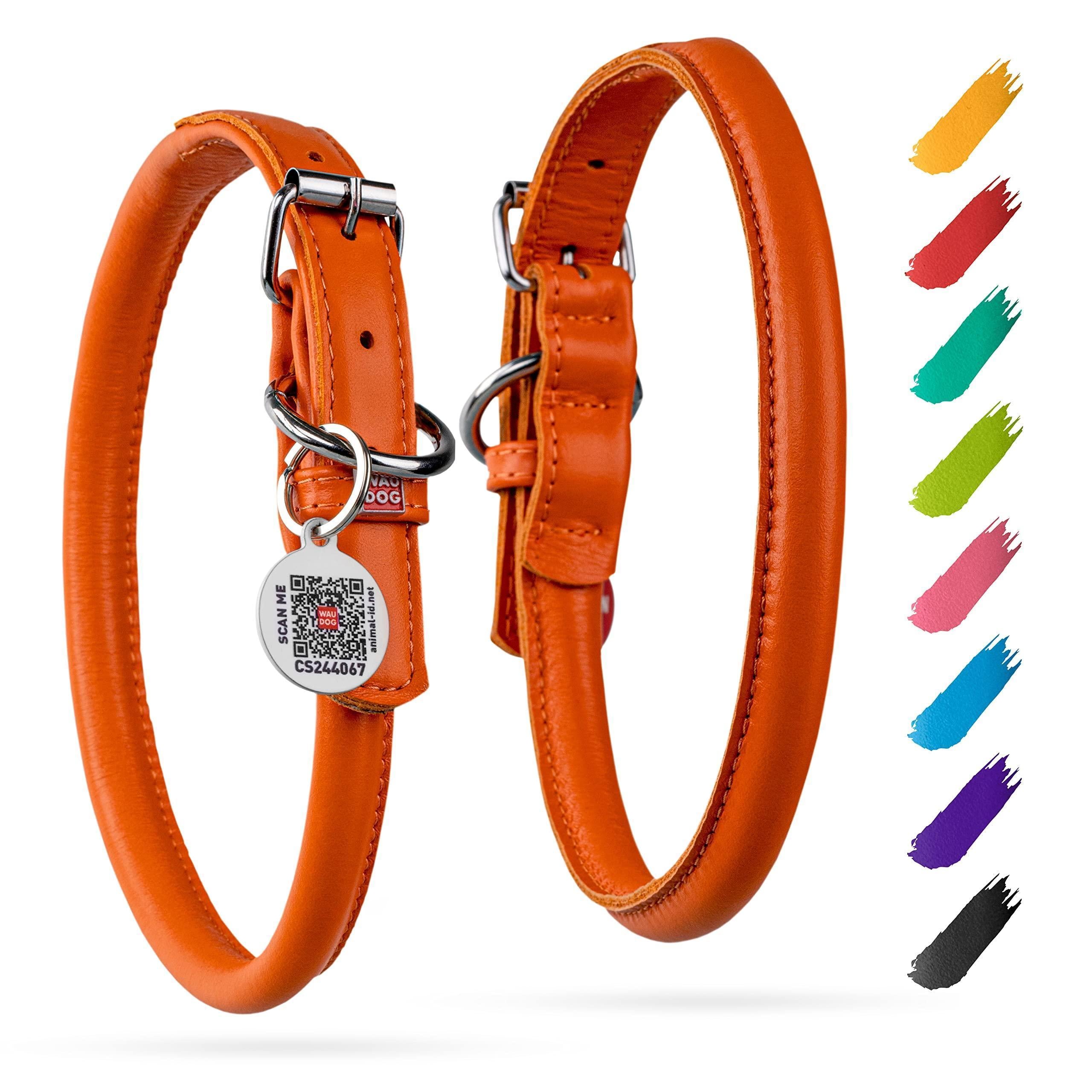Rolled Leather Dog Collar Padded Small Dogs 13–16 in Neck Orange Rolled Leather Dog Collar Padded Small Dogs 13–16 in Neck Orange