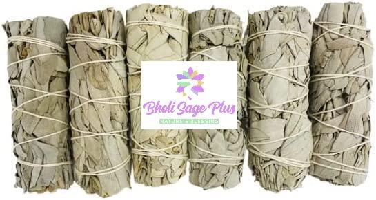 Bholi Sage Plus Sage Smudge Kit Pack of 6 White Sage Smudge Stick 4Inch Long Used for Meditation Smudging Rituals and Cleansing Getting Rid of Negative Energy Sustainably Grown California Sage Bholi Sage Plus Sage Smudge Kit Pack of 6 White Sage Smudge Stick 4Inch Long Used for Meditation Smudging Rituals and Cleansing Getting Rid of Negative Energy Sustainably Grown California Sage