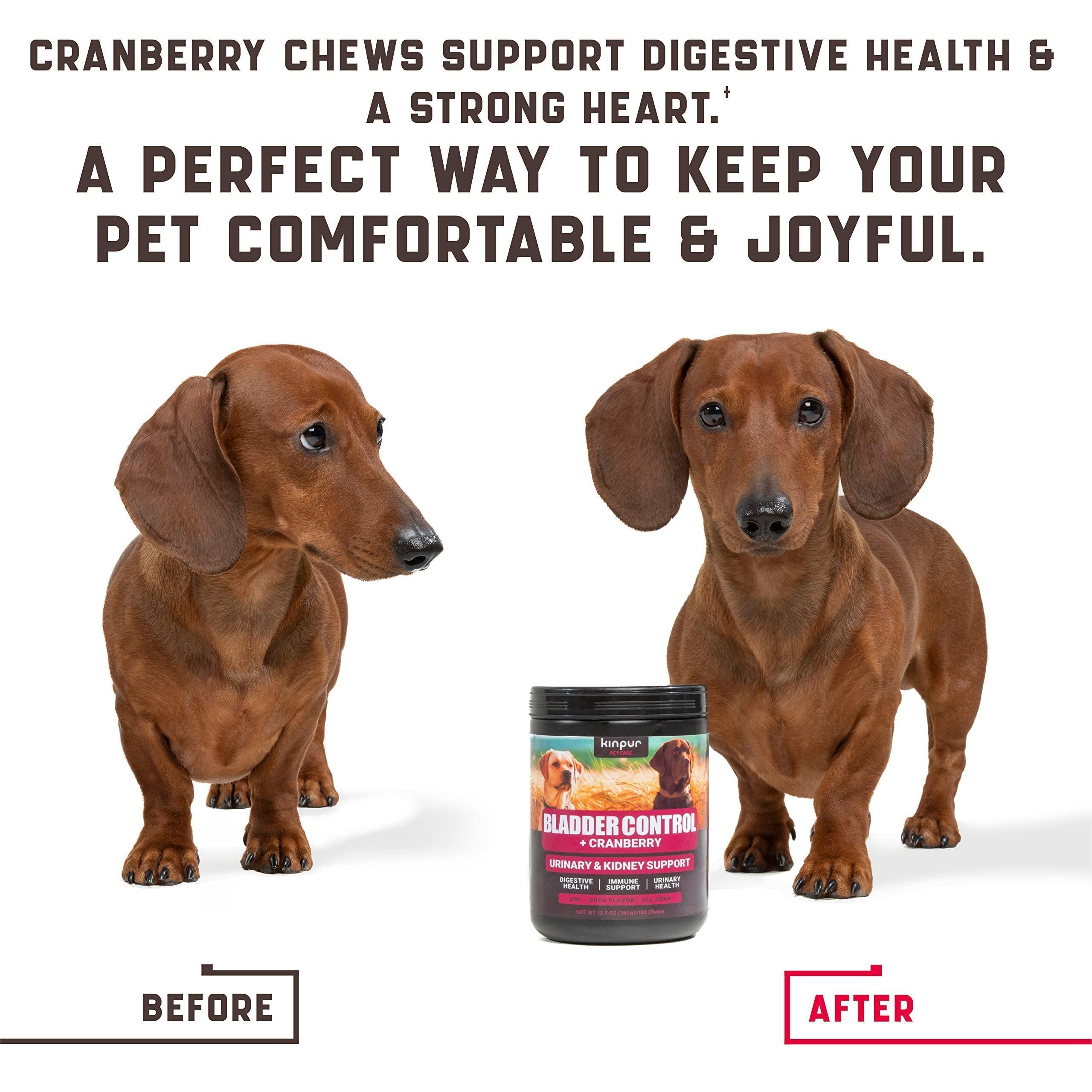 Cranberry Chews for Dogs 180 Count Urinary Tract Support Cranberry Chews for Dogs 180 Count Urinary Tract Support