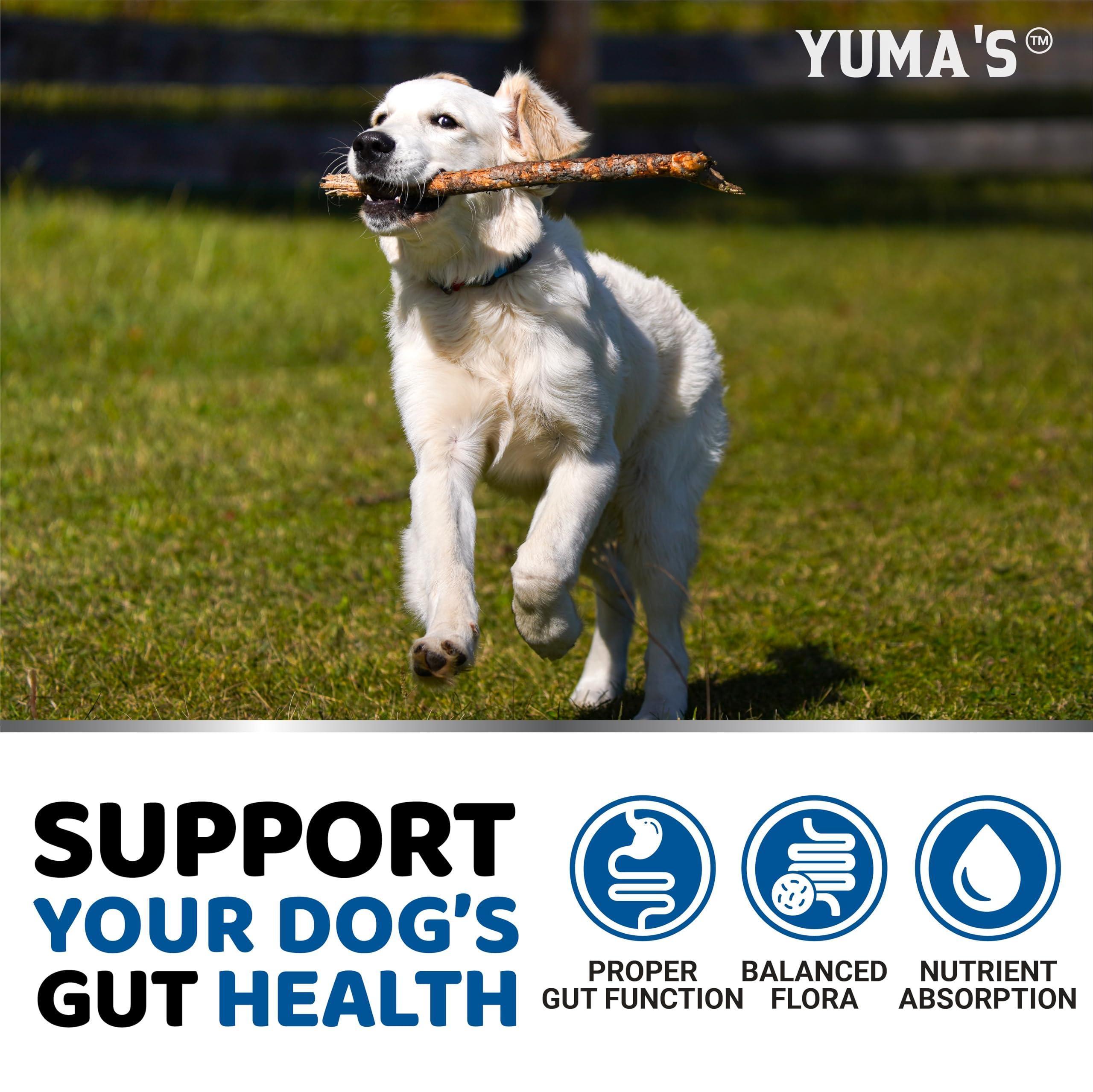 Probiotics for Dogs 170 Chews Digestive Enzymes & Fiber Probiotics for Dogs 170 Chews Digestive Enzymes & Fiber