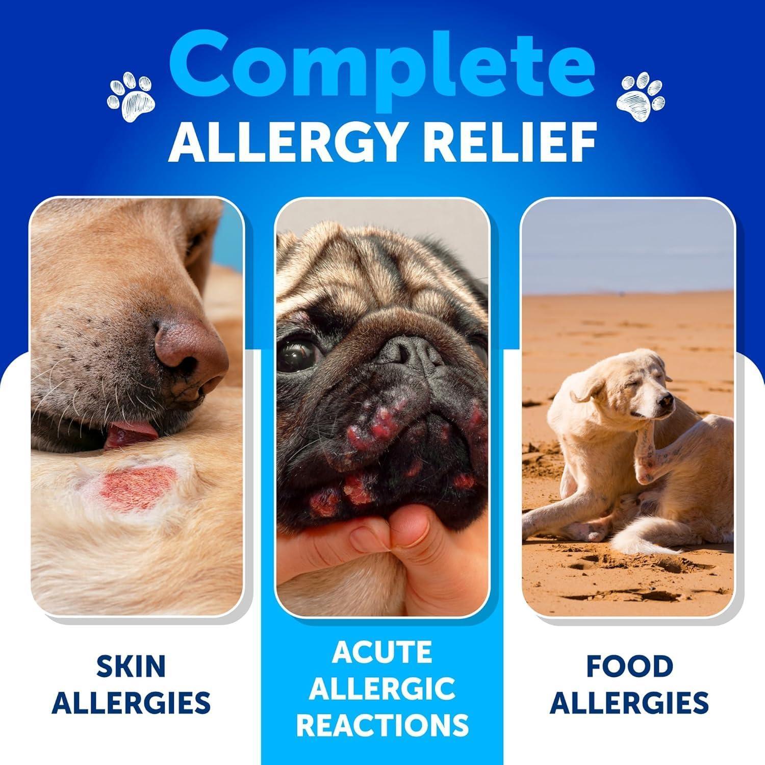 Dog Allergy Relief Chews Itchy Skin Relief Omega-3 Fish Oil Dog Allergy Relief Chews Itchy Skin Relief Omega-3 Fish Oil