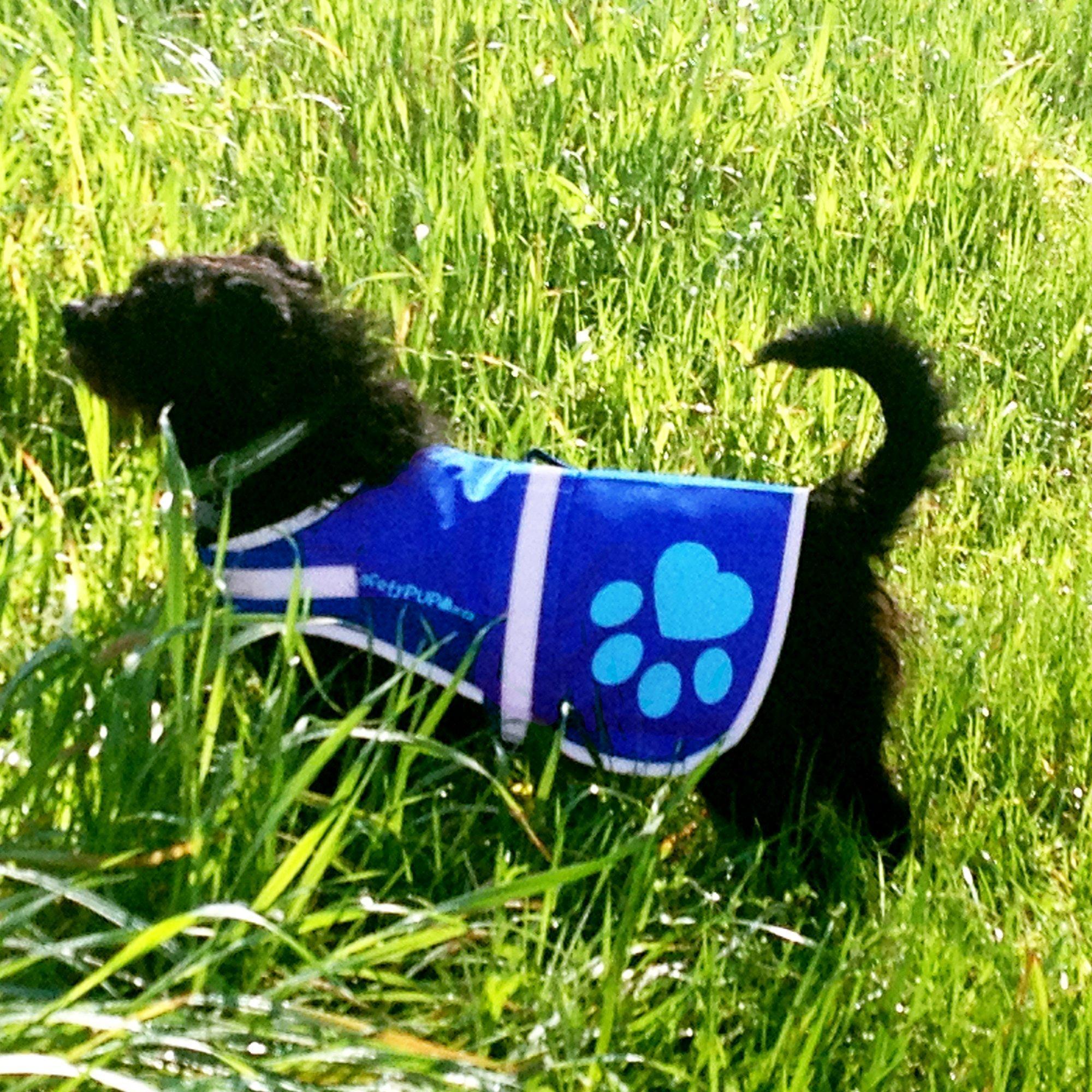 Reflective Dog Vest Hi-Vis S Size Blue Reflective Dog Vest Hi-Vis S Size Blue