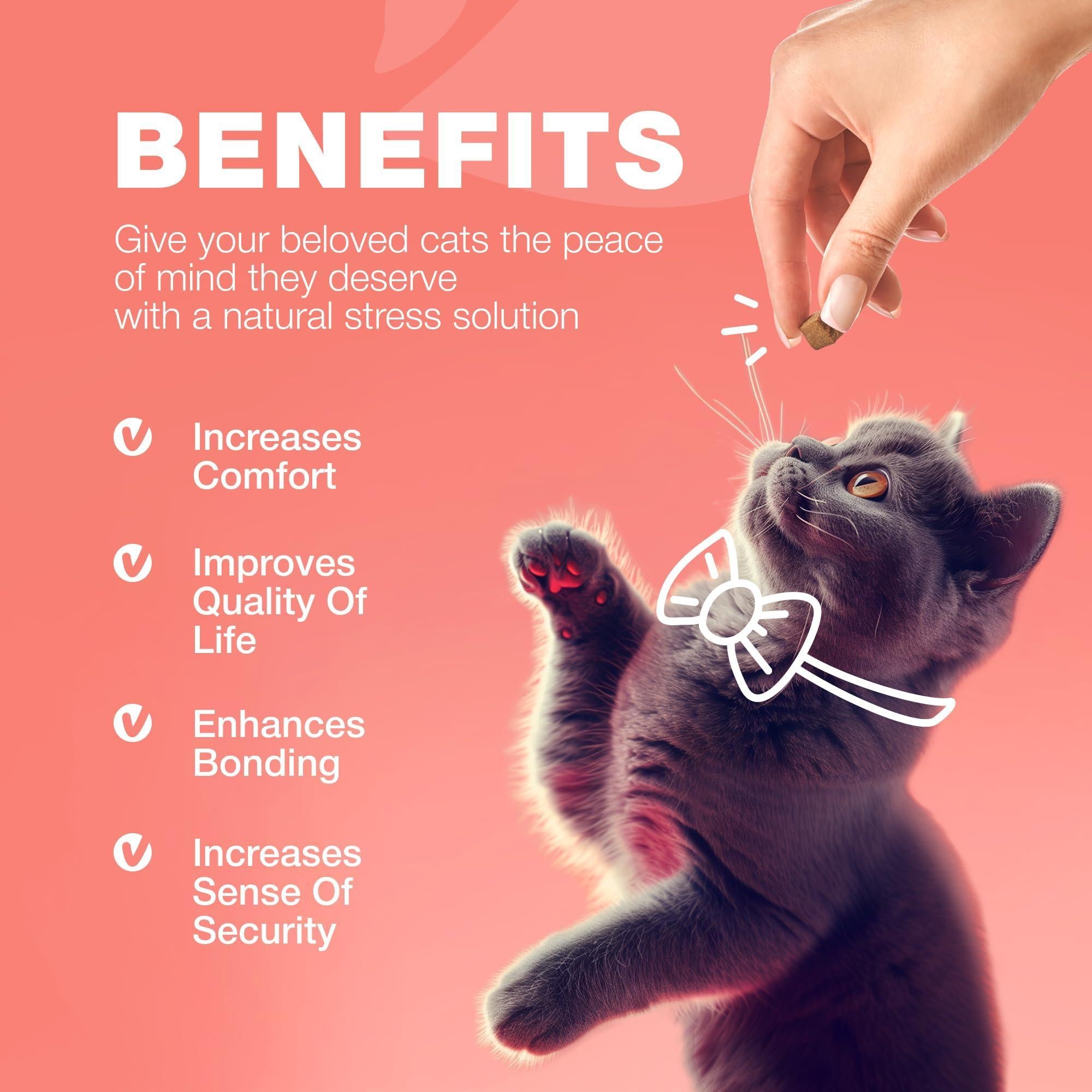 Cat Insects Treatment Chews Daily Oral Chewable Cat Insects Treatment Chews Daily Oral Chewable
