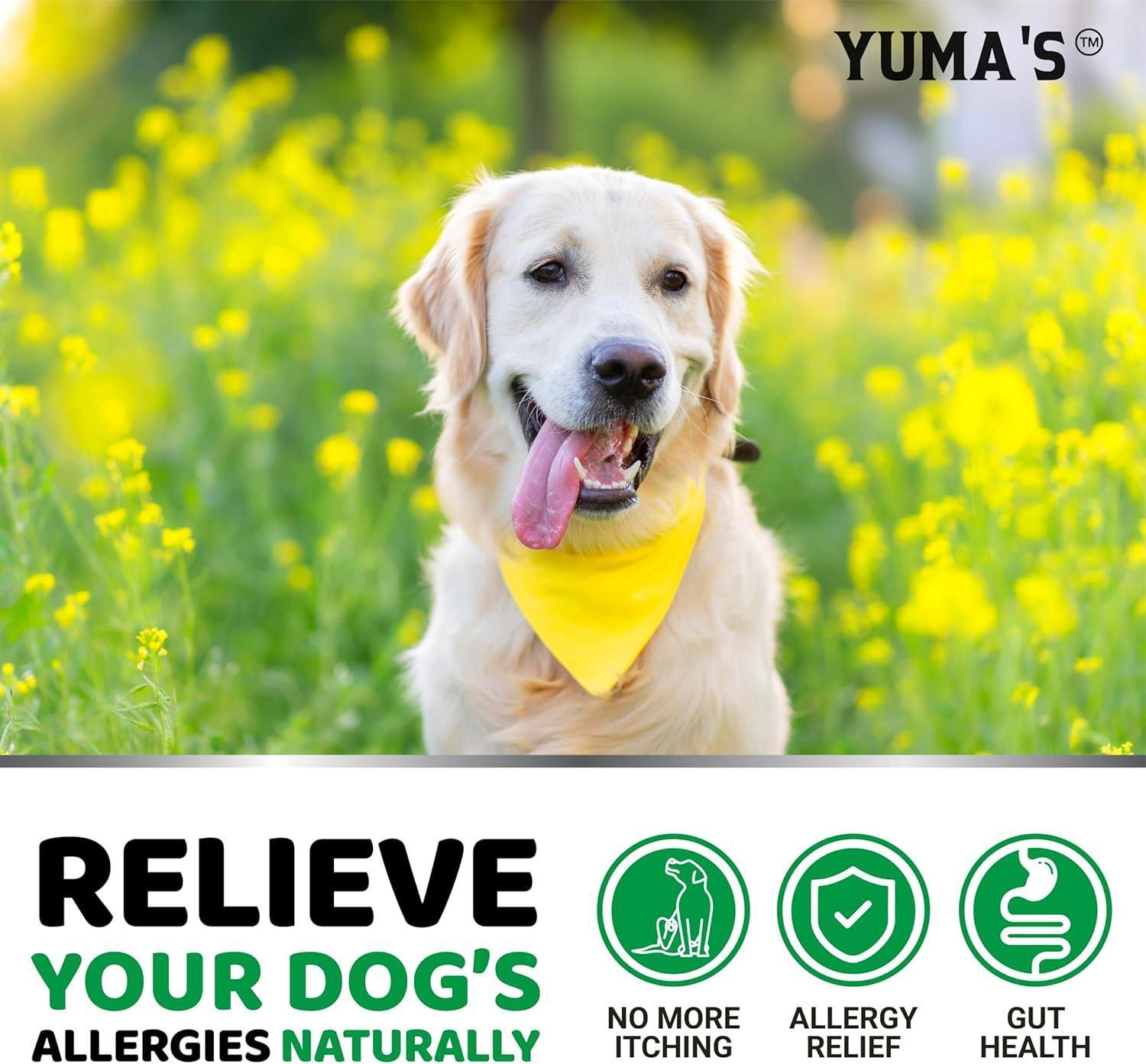 Dog Allergy Relief Chews 240 Count Itch Relief Omega-3 Fish Oil Skin & Coat Dog Allergy Relief Chews 240 Count Itch Relief Omega-3 Fish Oil Skin & Coat