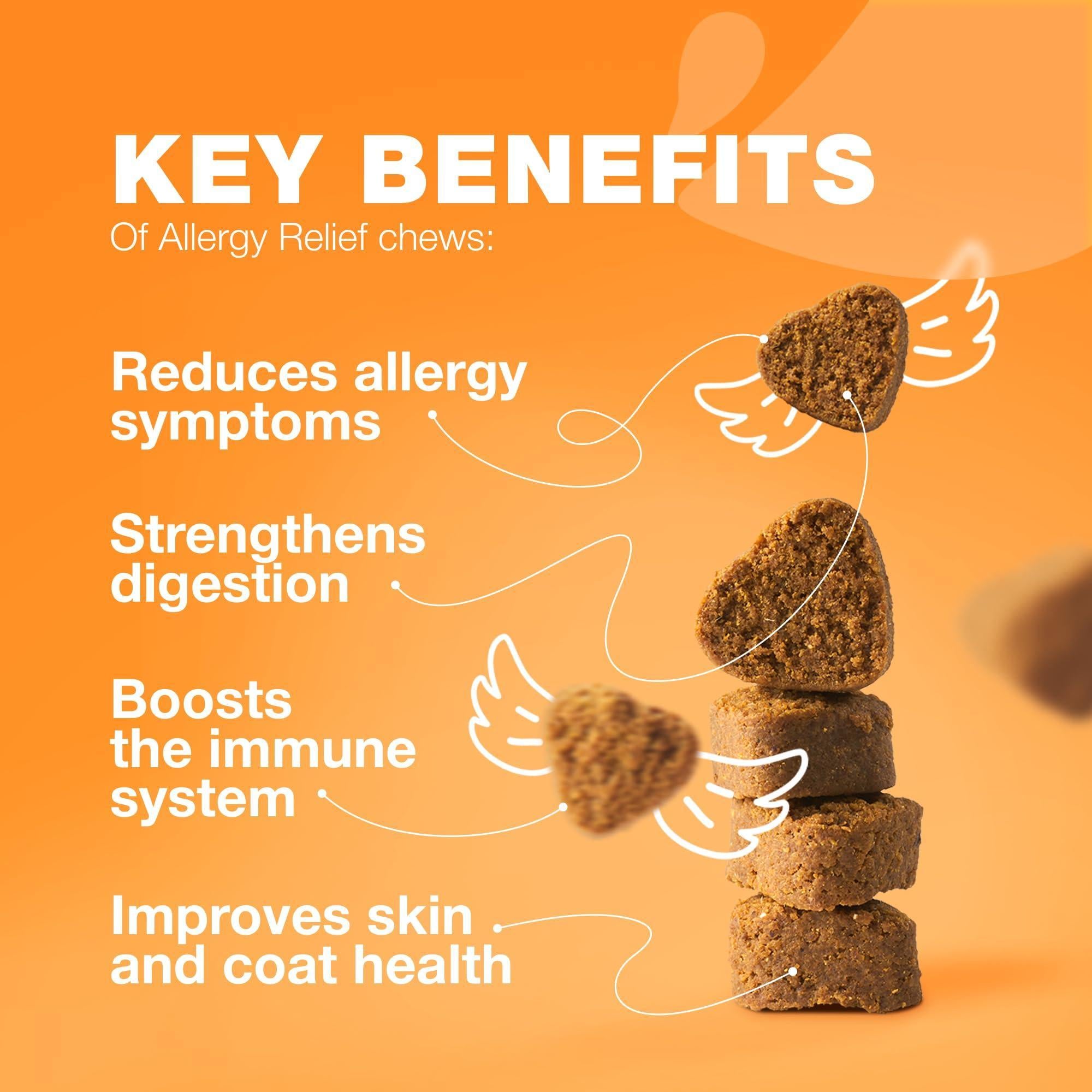 Dog Allergy Relief Chews Itch Relief Anti-Itch Dog Allergy Relief Chews Itch Relief Anti-Itch