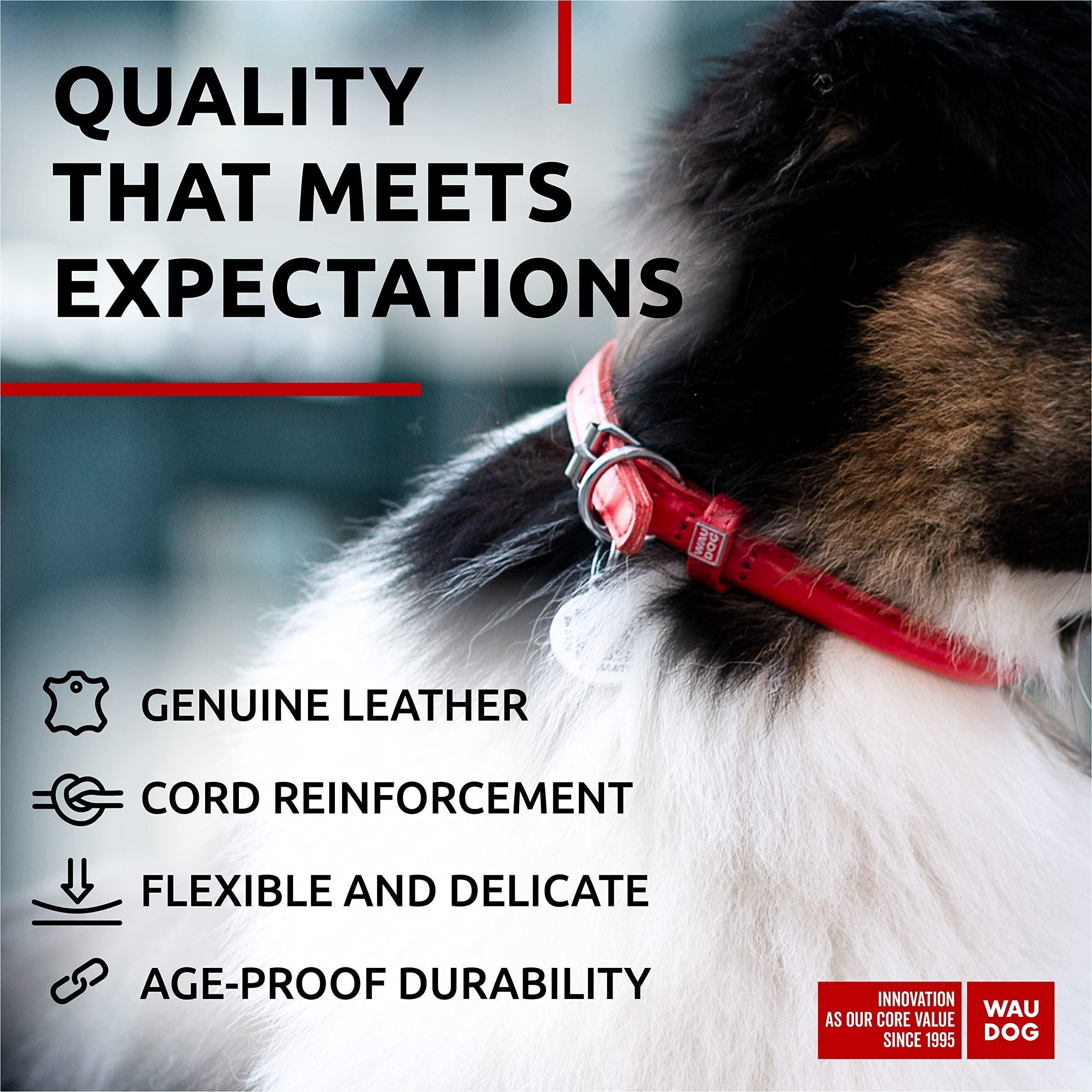 Rolled Leather Dog Collar Padded 18–21 in Neck Red Rolled Leather Dog Collar Padded 18–21 in Neck Red