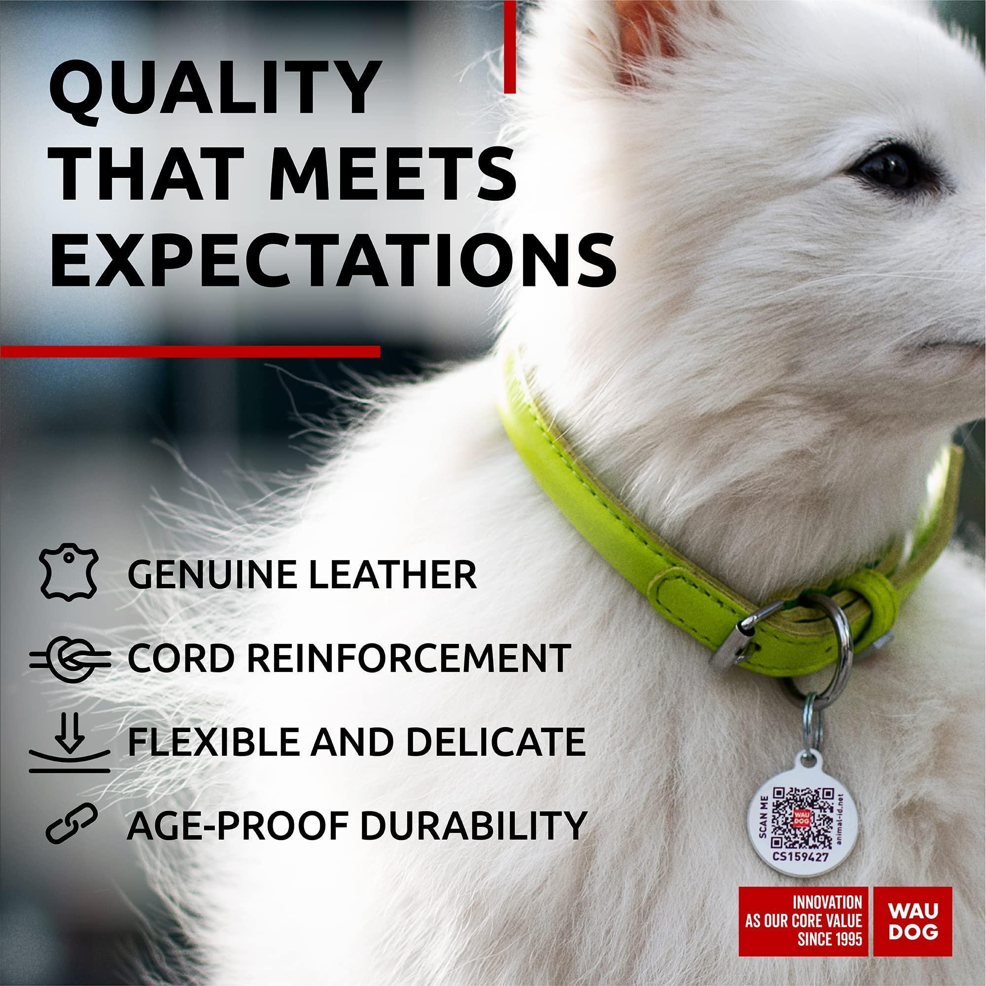 Rolled Leather Dog Collar Padded 8–10 in Neck Green Rolled Leather Dog Collar Padded 8–10 in Neck Green