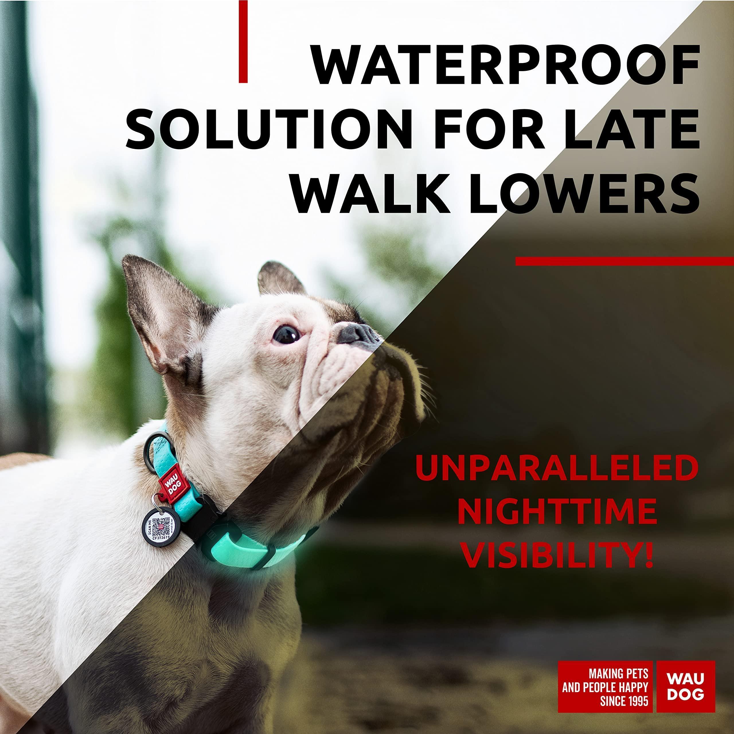 Waterproof Glow Dog Collar Adjustable Medium Dogs 10–16 in Neck Waterproof Glow Dog Collar Adjustable Medium Dogs 10–16 in Neck