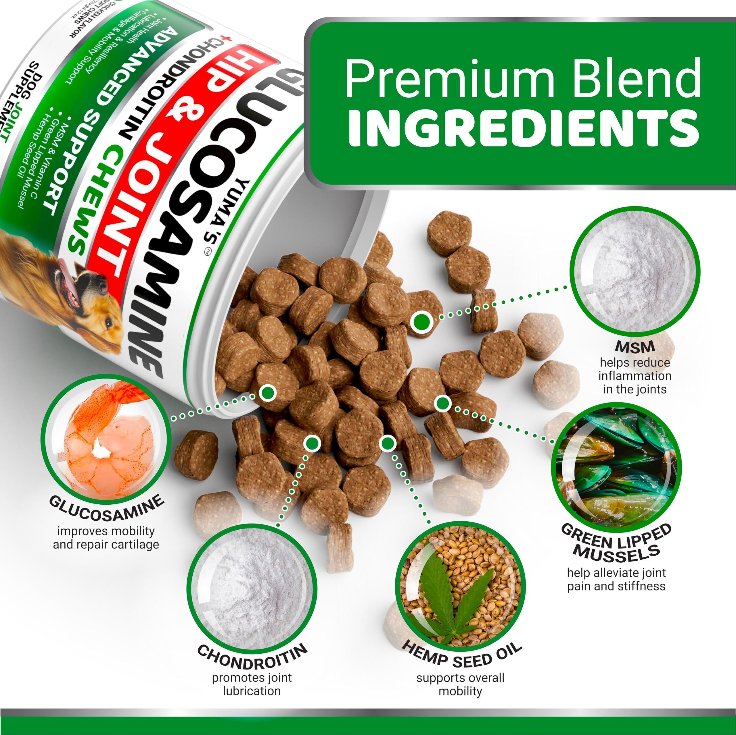 Glucosamine for Dogs Hip & Joint Supplement 170 Chews Glucosamine for Dogs Hip & Joint Supplement 170 Chews