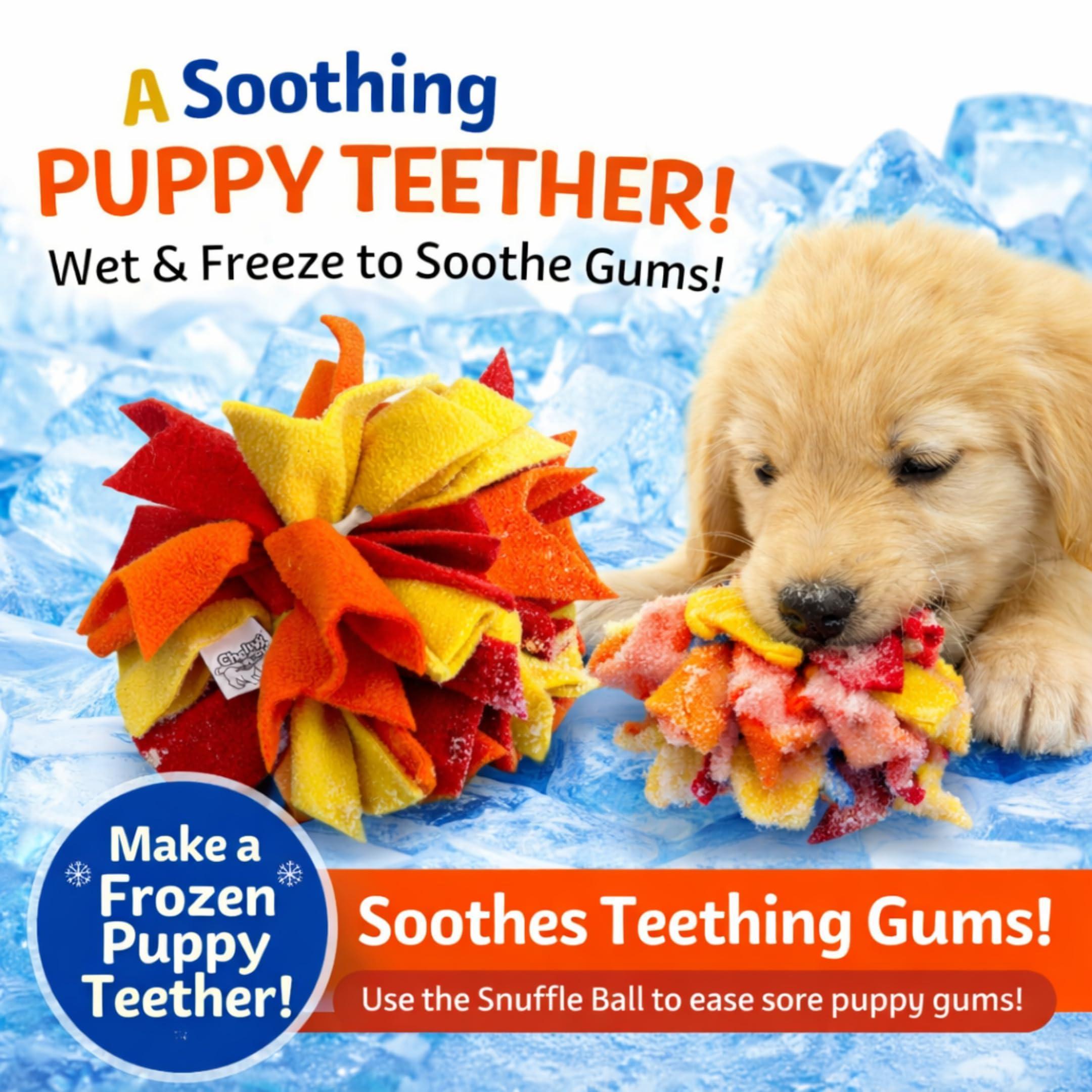 Interactive Snuffle Ball & Treat-Dispenser Toy for Dogs Teething Relief Blue Interactive Snuffle Ball & Treat-Dispenser Toy for Dogs Teething Relief Blue