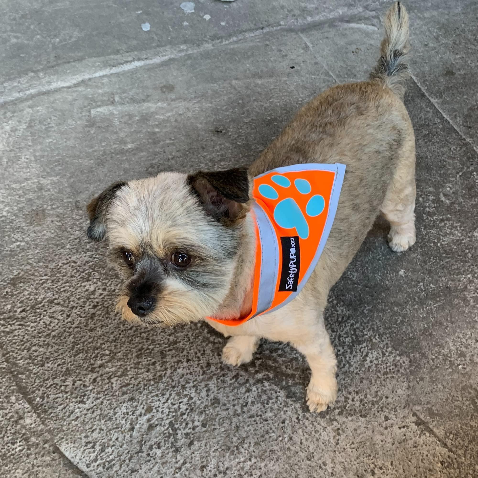 Reflective Dog Bandana Hi-Vis S Size 10 in Neck Orange Reflective Dog Bandana Hi-Vis S Size 10 in Neck Orange
