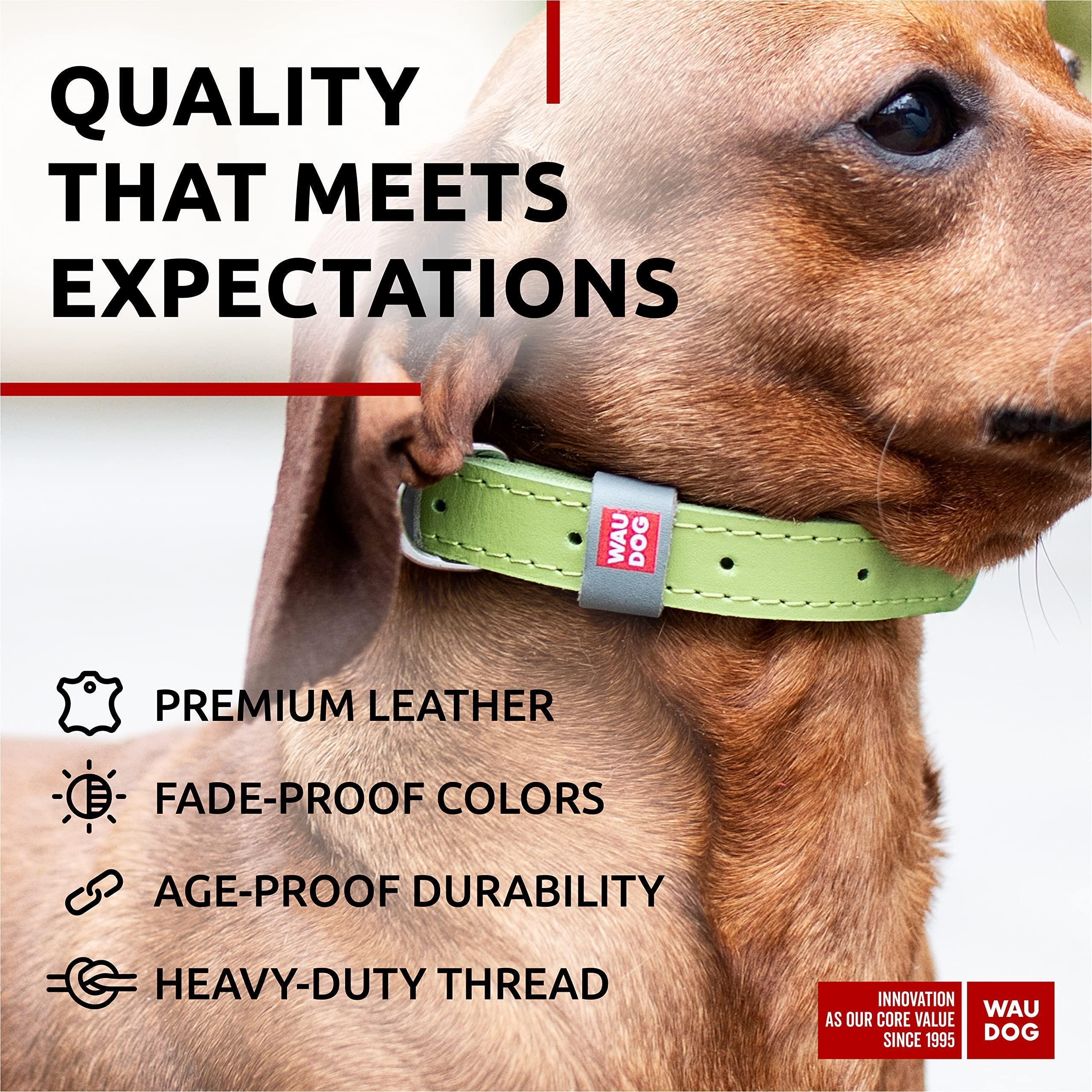 Leather Dog Collar Adjustable All Sizes Buckle D-Ring & QR Tag Leather Dog Collar Adjustable All Sizes Buckle D-Ring & QR Tag