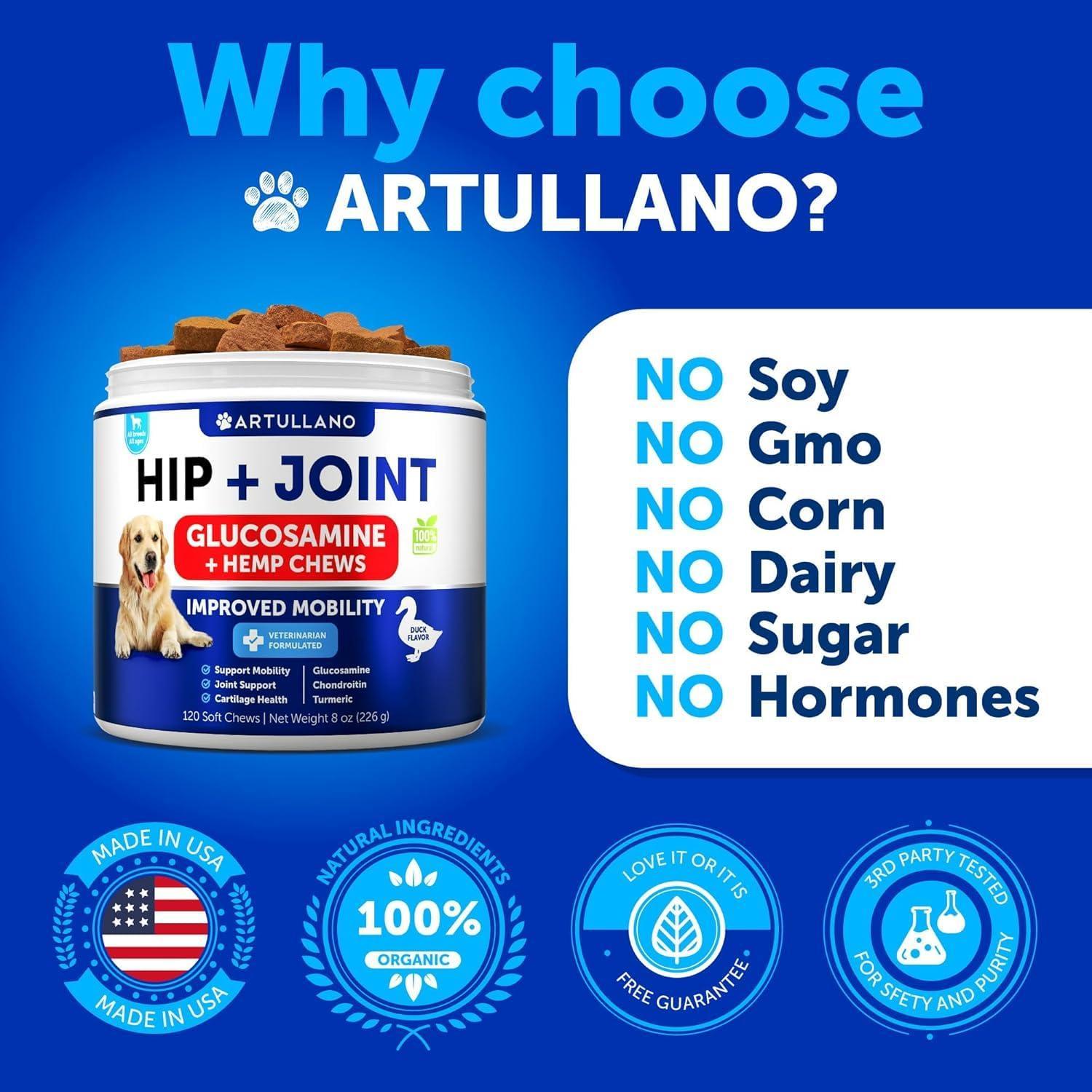 Hip and Joint Supplement for Dogs Glucosamine Joint Pain Relief Chews Hip and Joint Supplement for Dogs Glucosamine Joint Pain Relief Chews