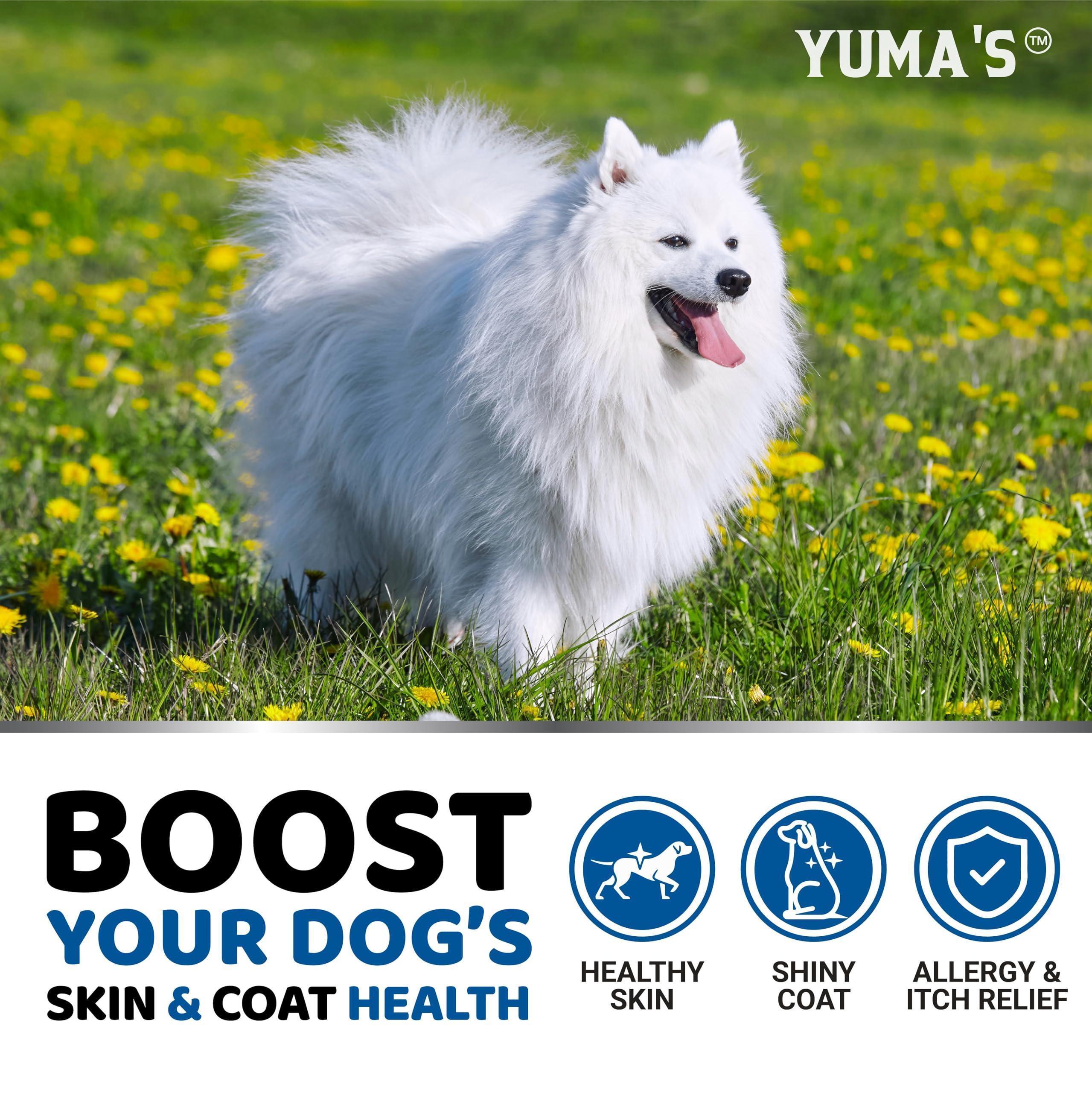 Omega-3 Fish Oil for Dogs 170 Chews Skin & Coat Supplement Omega-3 Fish Oil for Dogs 170 Chews Skin & Coat Supplement