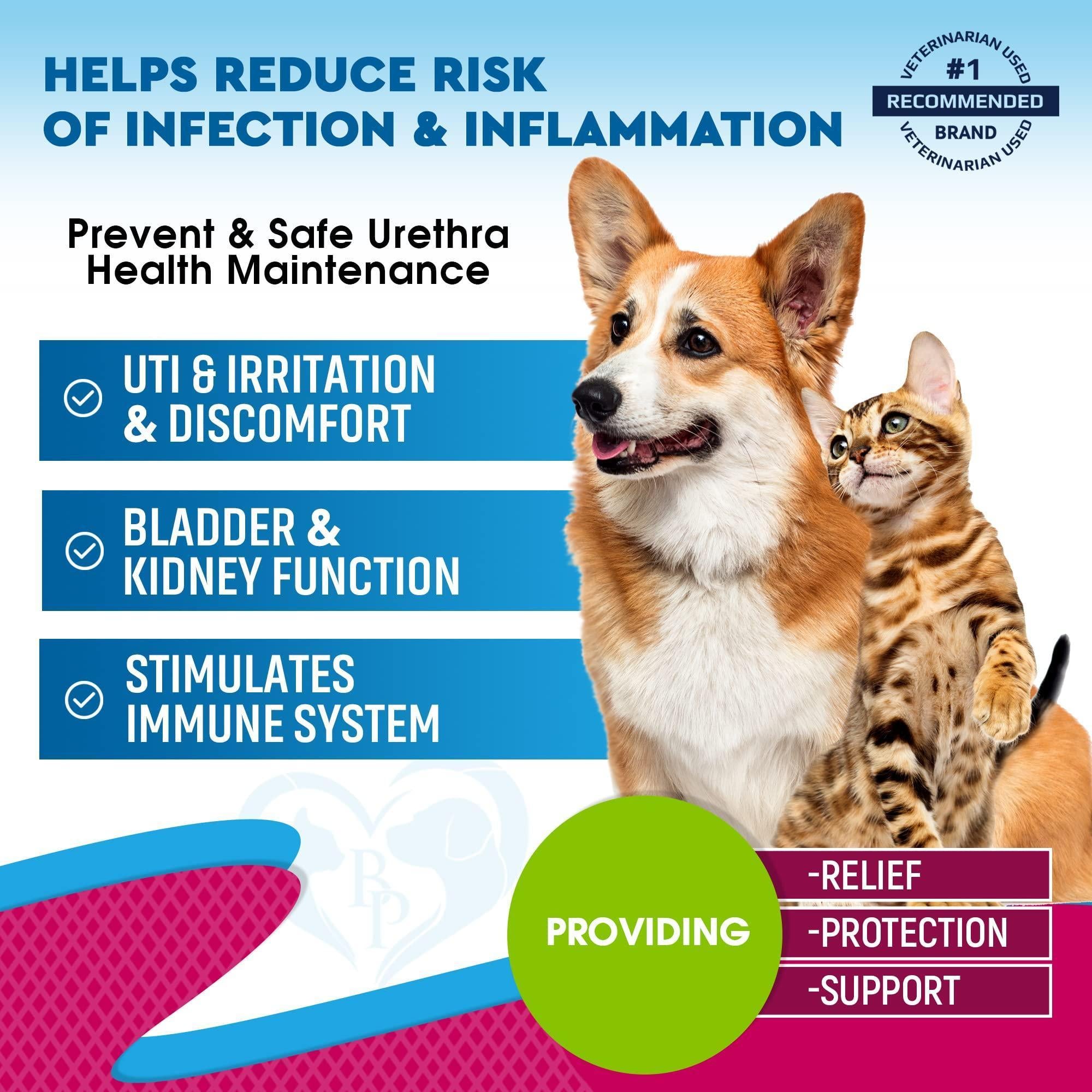 Cat & Dog UTI Treatment Drops Cranberry Urinary Support Cat & Dog UTI Treatment Drops Cranberry Urinary Support