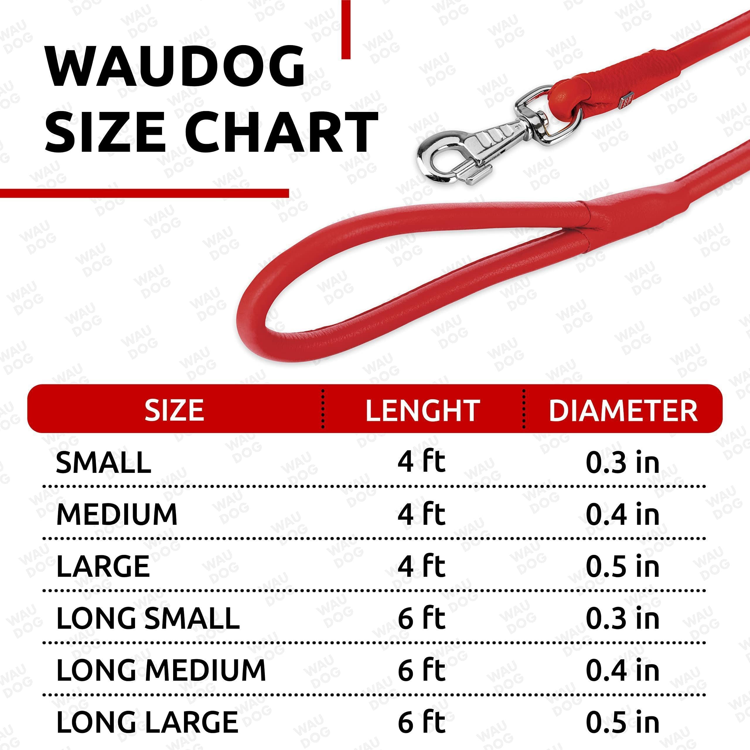 Rolled Leather Dog Leash 4 ft x 0.3 in All Sizes Red Rolled Leather Dog Leash 4 ft x 0.3 in All Sizes Red