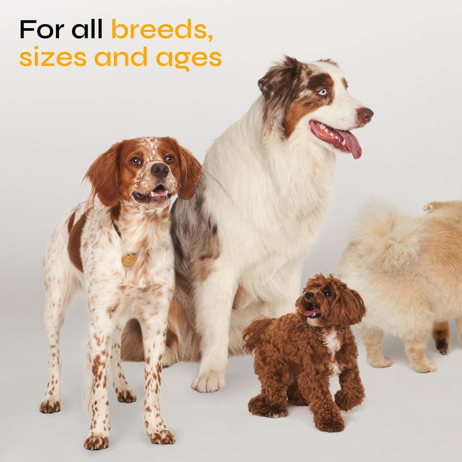 Flea and Tick Prevention for Dogs Dog Flea Treatment Chews Immune Support Flea and Tick Chewables for Dogs Dog Flea & Tick Control Supplement All Breeds & Ages Vet Formulated Soft Treats Flea and Tick Prevention for Dogs Dog Flea Treatment Chews Immune Support Flea and Tick Chewables for Dogs Dog Flea & Tick Control Supplement All Breeds & Ages Vet Formulated Soft Treats