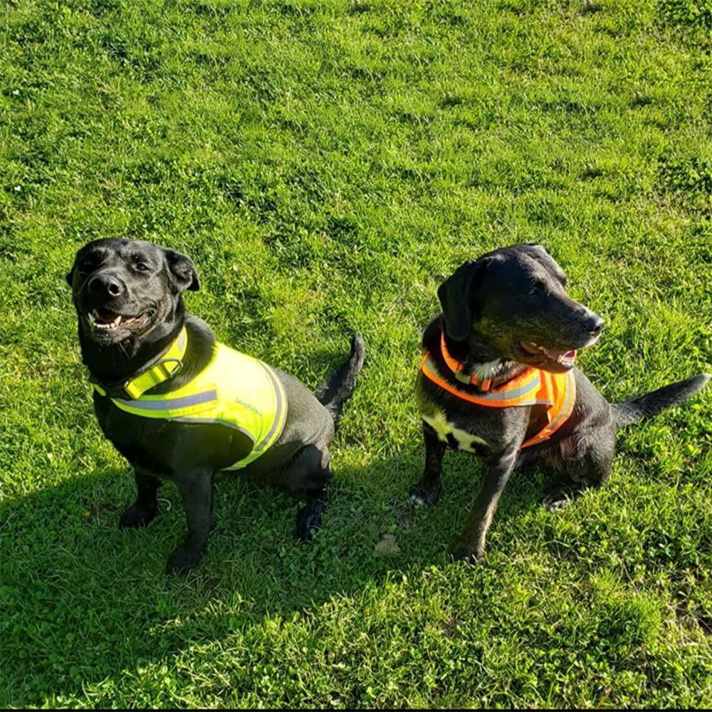Lightweight Dog Vest Mid-Back Coverage 24 in Chest x 17 in Neck Orange Lightweight Dog Vest Mid-Back Coverage 24 in Chest x 17 in Neck Orange