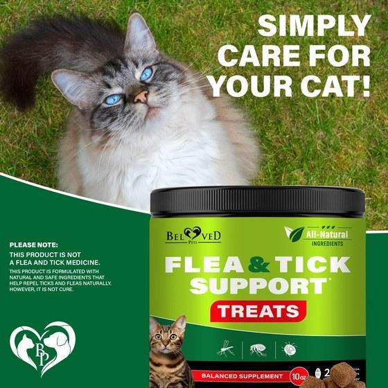 Insects Prevention Chews for Cats Oral Insects Prevention Chews for Cats Oral