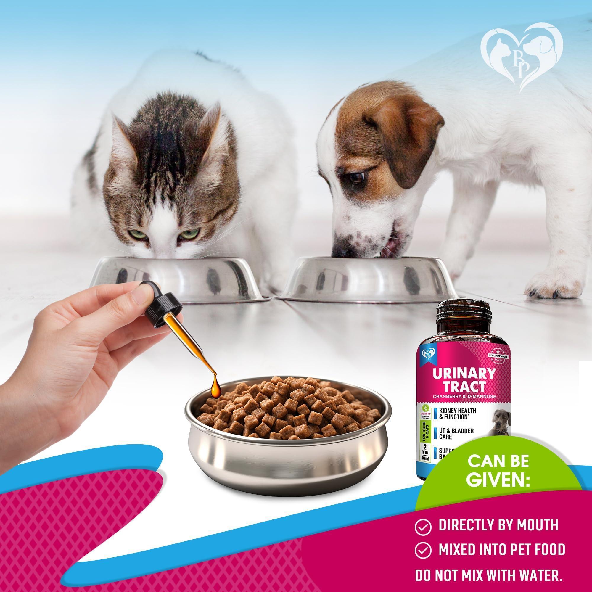 Cat & Dog UTI Treatment Drops 60 ml 2-Pack Cranberry & D-Mannose Bladder Support Cat & Dog UTI Treatment Drops 60 ml 2-Pack Cranberry & D-Mannose Bladder Support
